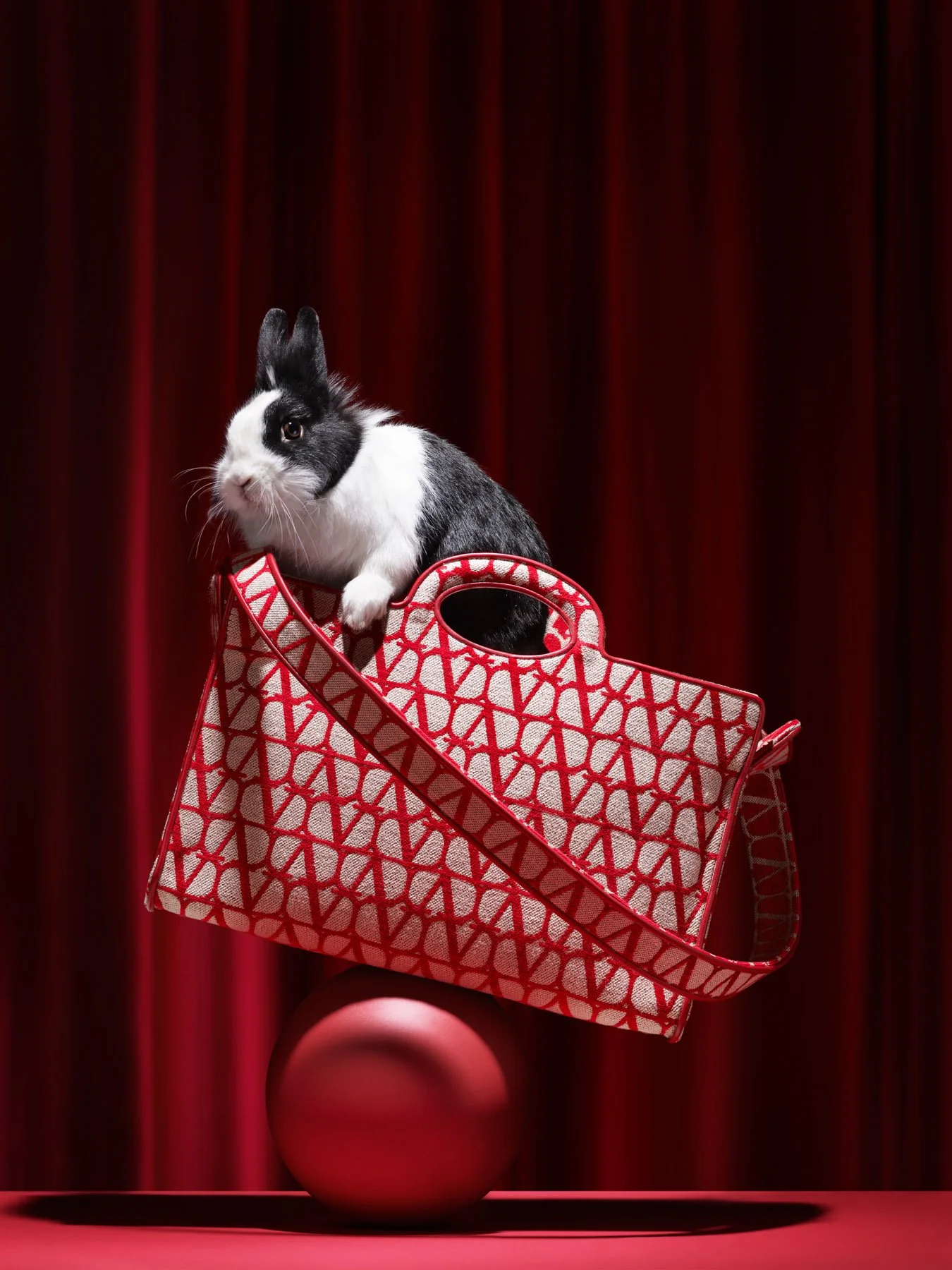 1MB-兔子分层 小李-squarespace.jpg