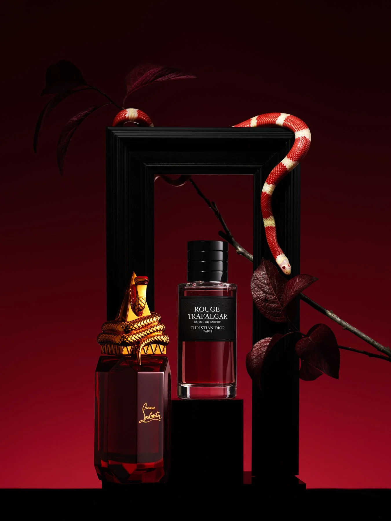 1MB-20241113 芭莎王倩一月刊拍摄6796rgb-squarespace.jpg