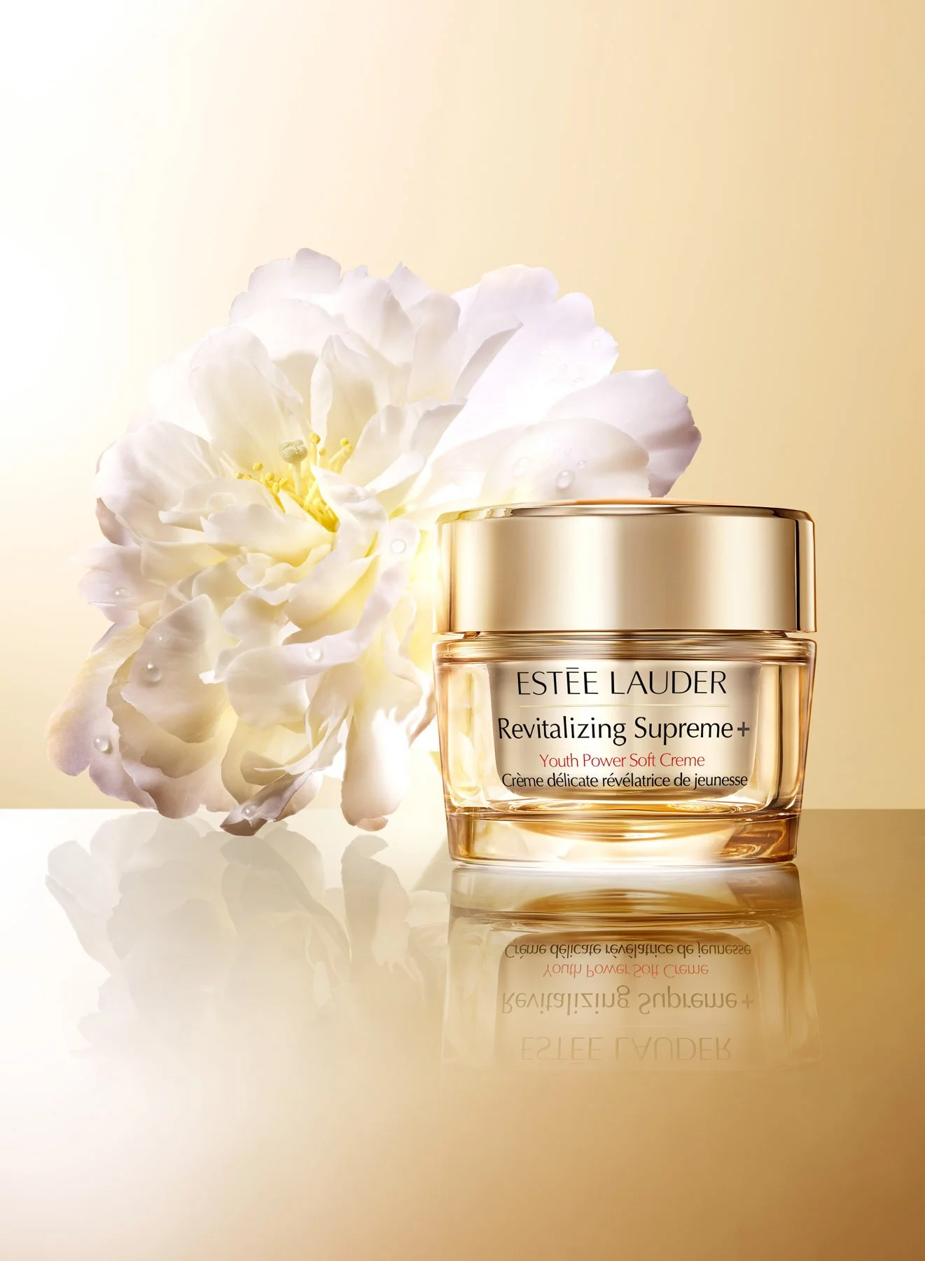 1MB-2022-01-09 13-49-32 (C,Smoothing1) 完稿-squarespace.jpg