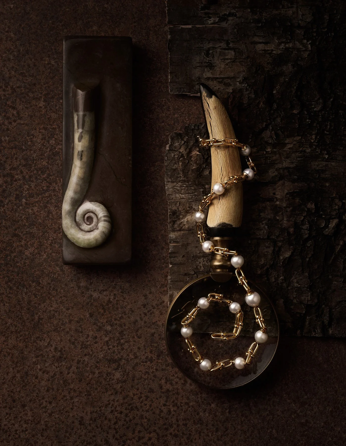 1MB-2025-02-24 15-50-06 (B,R8,S4)-squarespace.jpg