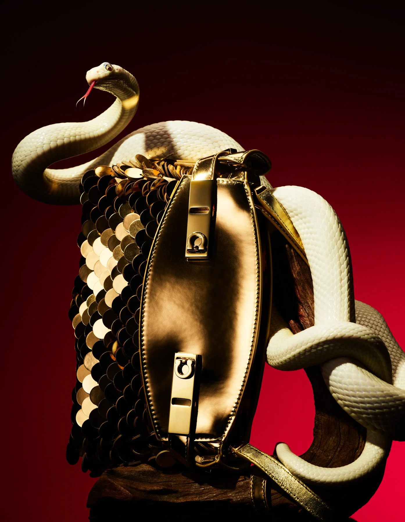 1MB-20241112芭莎小雨一月刊拍摄6368 拷贝-squarespace.jpg