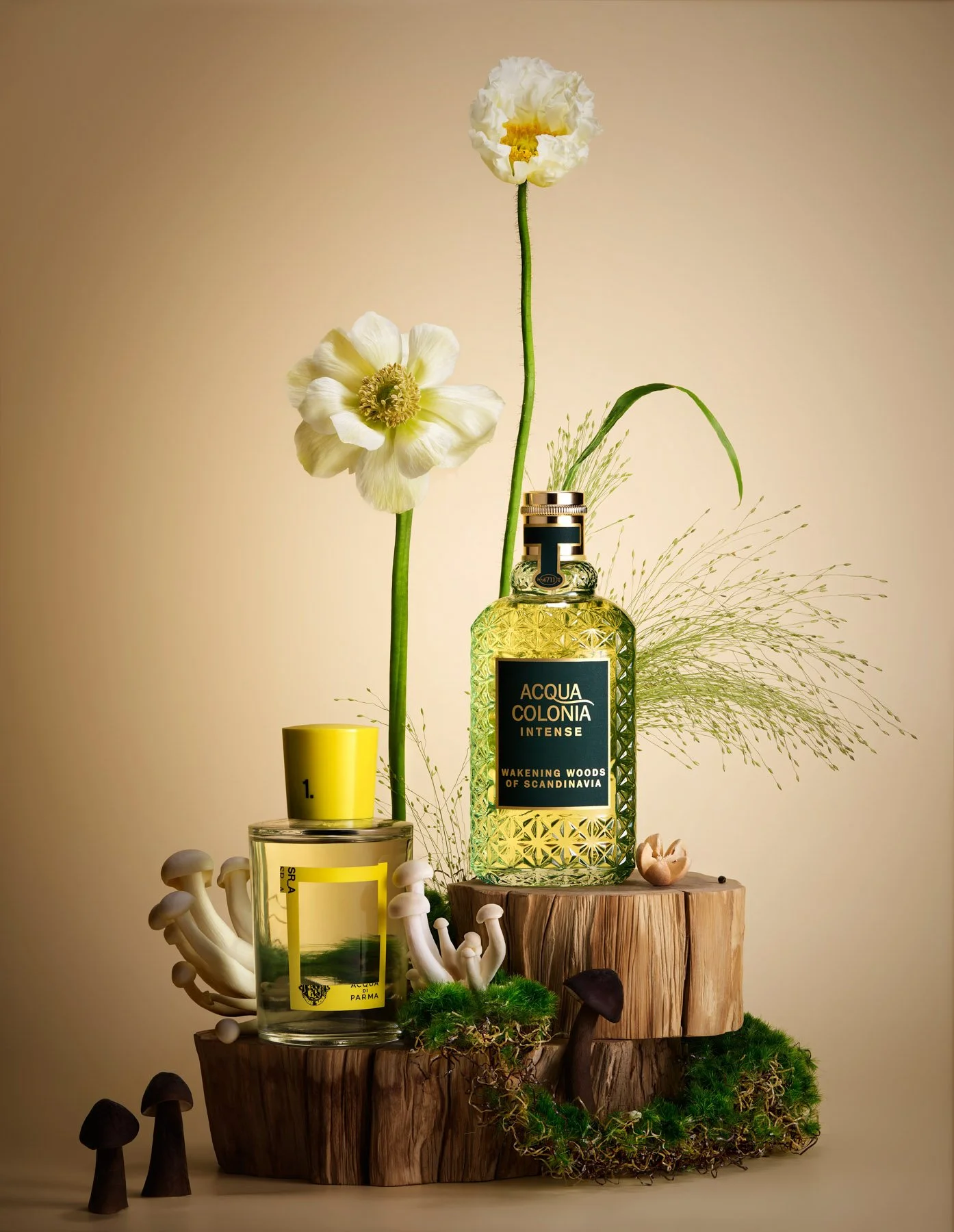 1MB-2023-02-10 22-39-44 (B,Radius8,Smoothing4)-squarespace.jpg