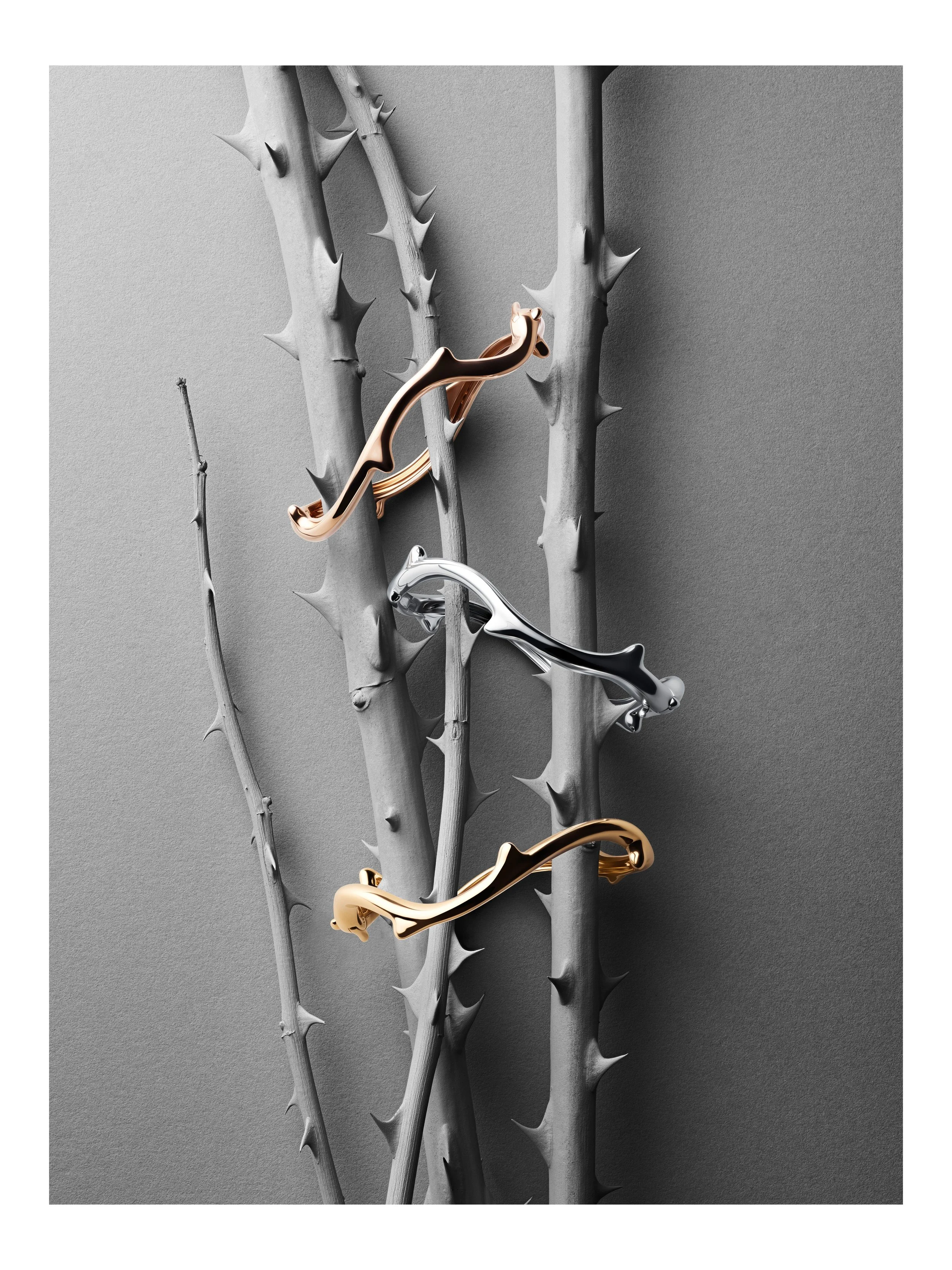 squarespace-2022-01-22 12-16-43 (C,Smoothing1)-squarespace.jpg