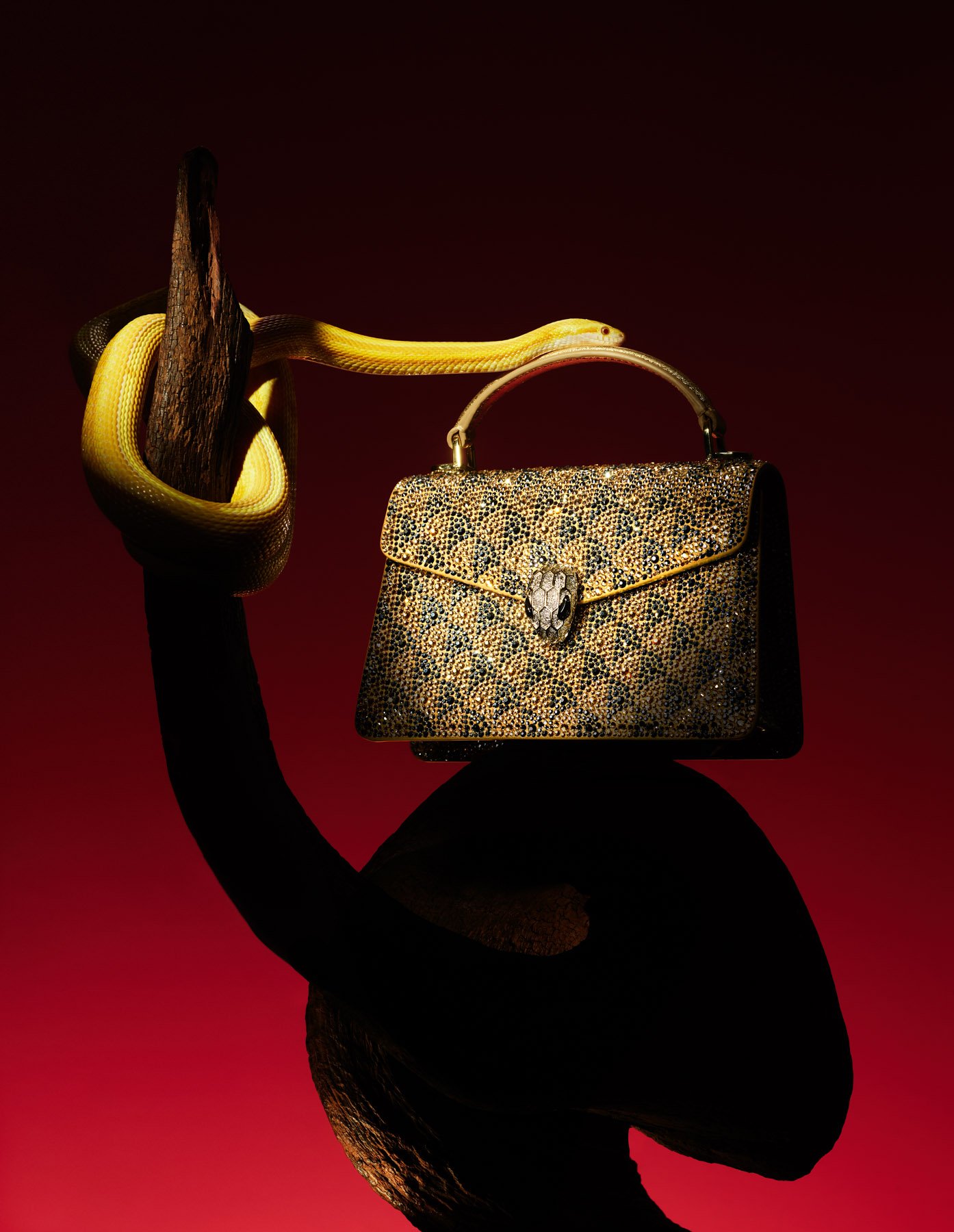 1MB-20241112芭莎小雨一月刊拍摄6028 拷贝-squarespace.jpg