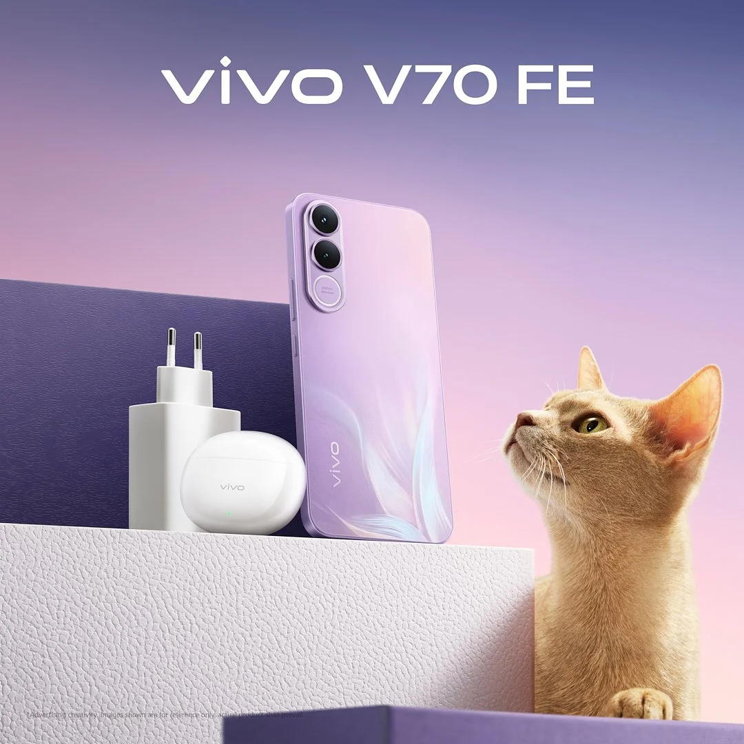 粉色猫咪_F1-1x1.jpg