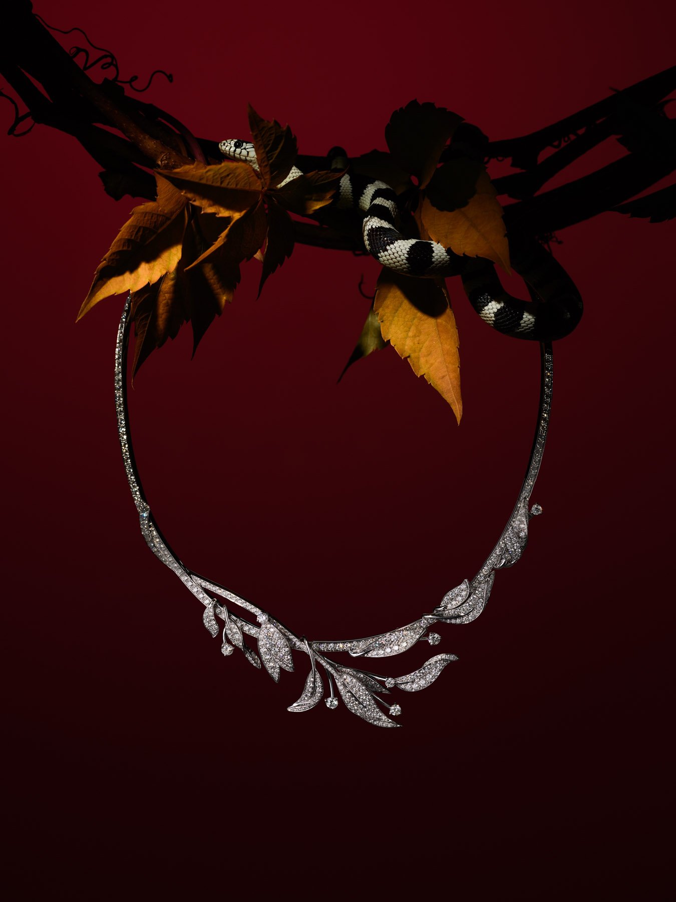 1MB-20241113 芭莎王倩一月刊拍摄6949rgb-squarespace.jpg