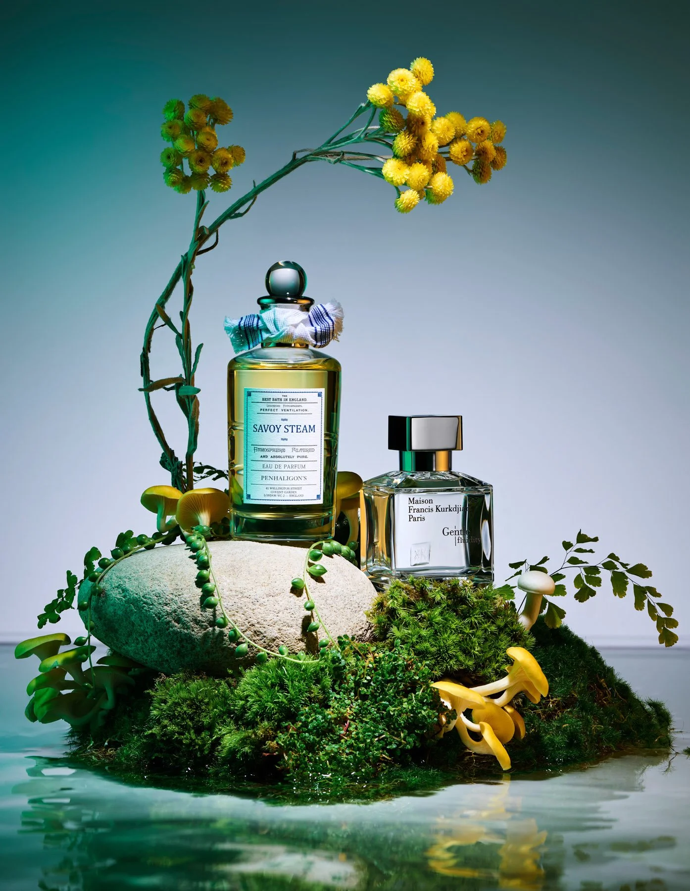 1MB-2023-02-10 11-42-44 (B,Radius8,Smoothing4)-squarespace.jpg