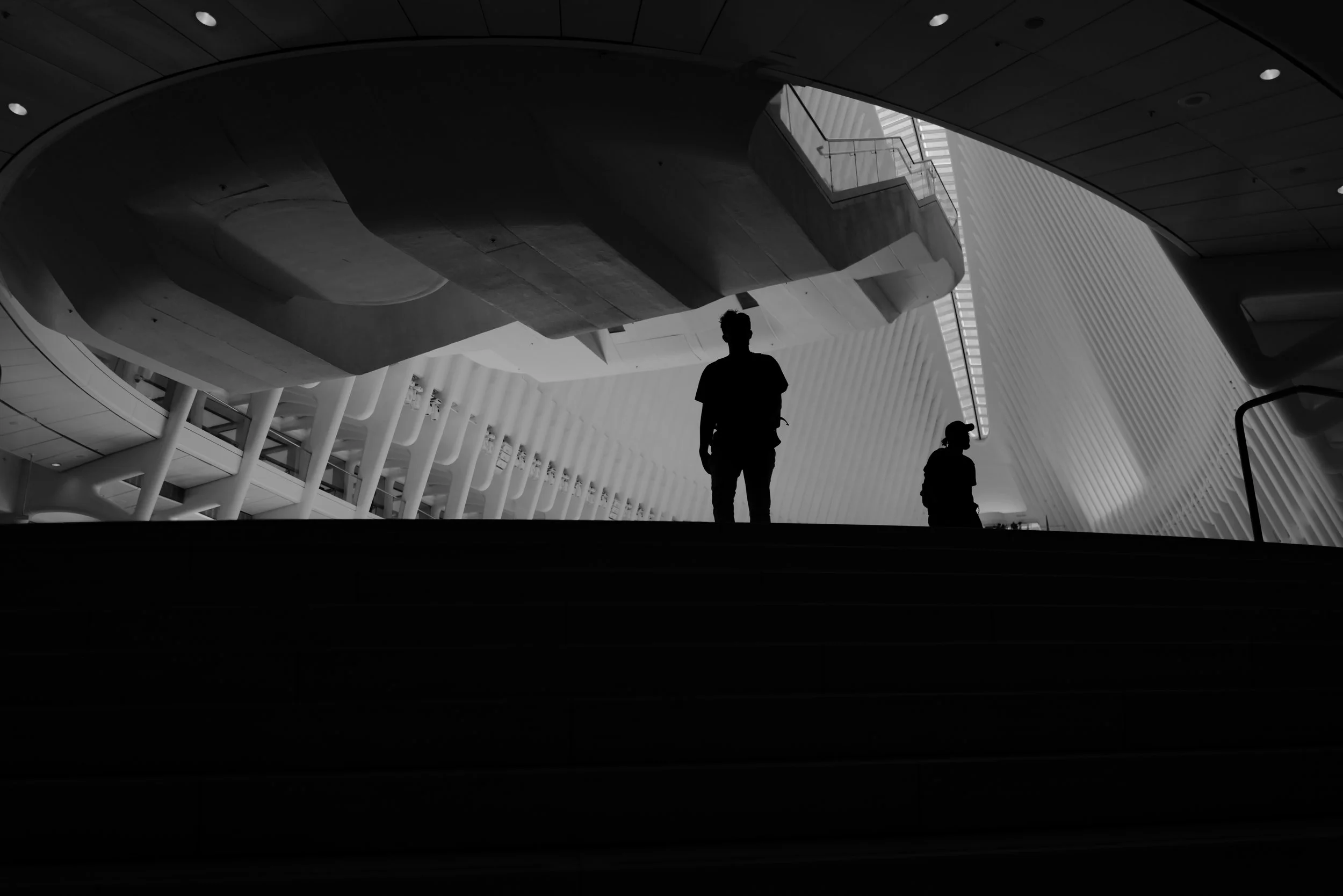 Silhouettes of two people, one adult and one child, standing on stairs inside a modern, architecturally designed building with curving ceilings and large windows.