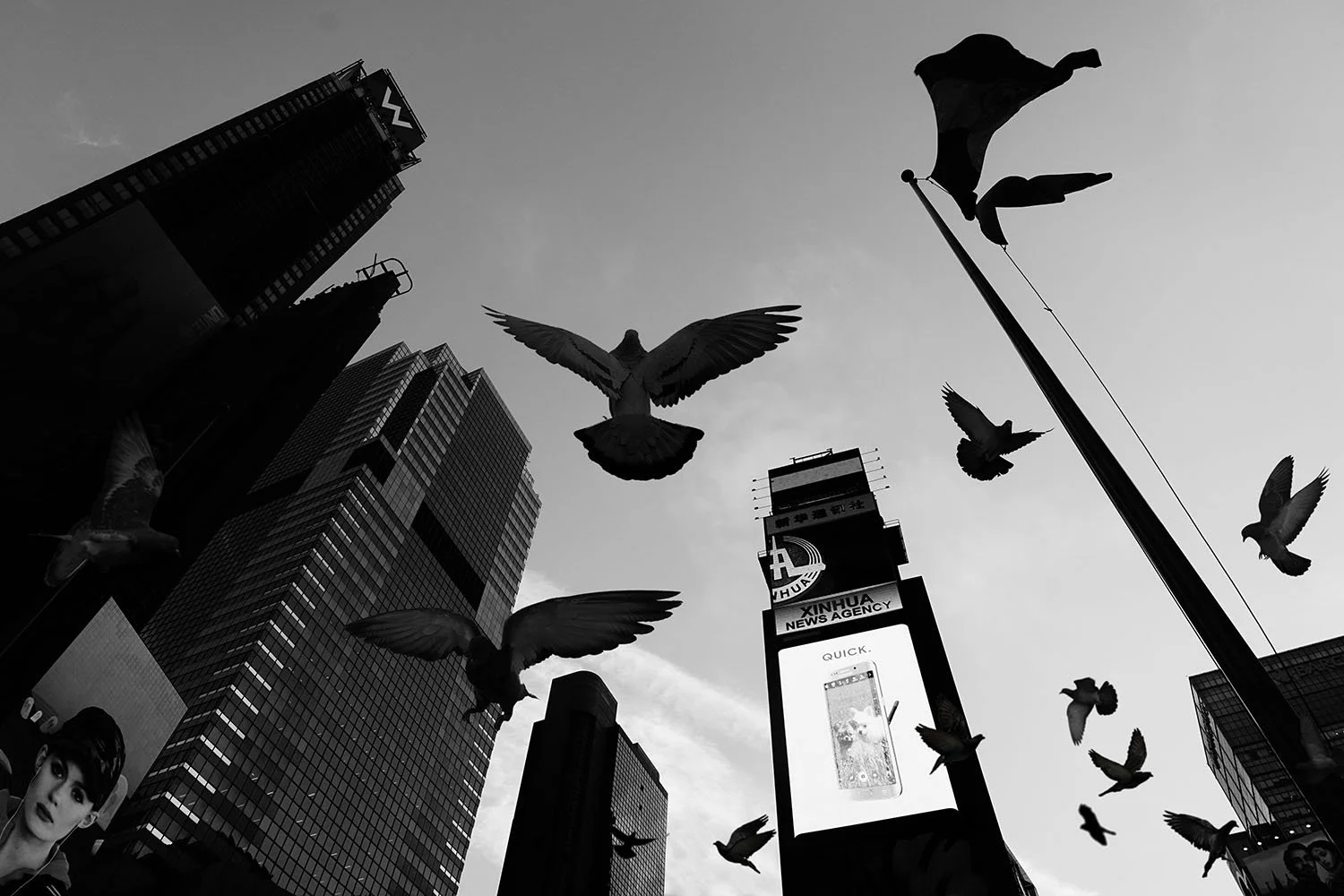 Cityscape with tall buildings and billboards, with multiple pigeons flying in the sky.