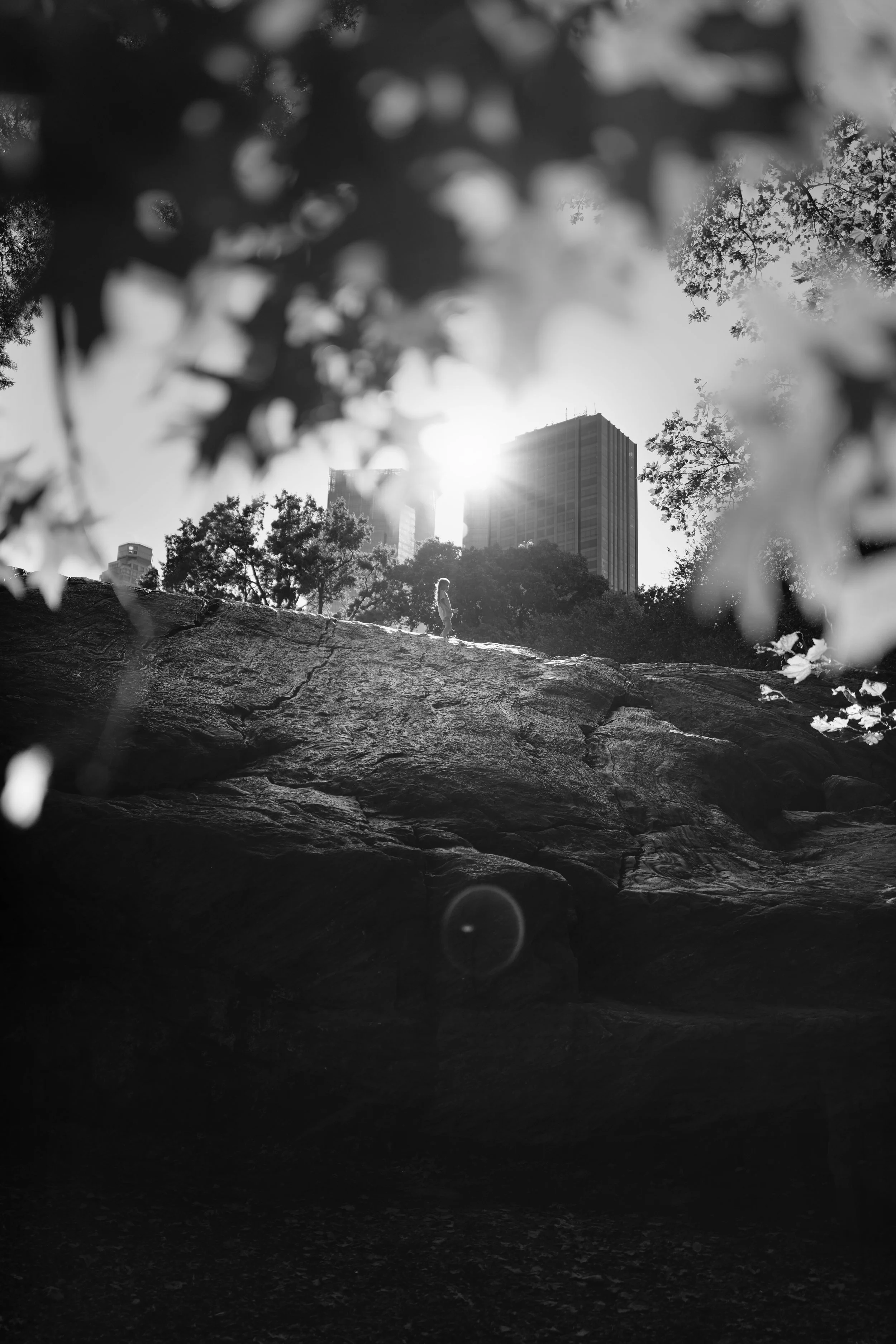 Black and white photo of a person standing on a large rock with a city skyline in the background. The sun is shining behind the buildings, partially obscured, creating a bright glow. Leaves and branches frame the top of the image.