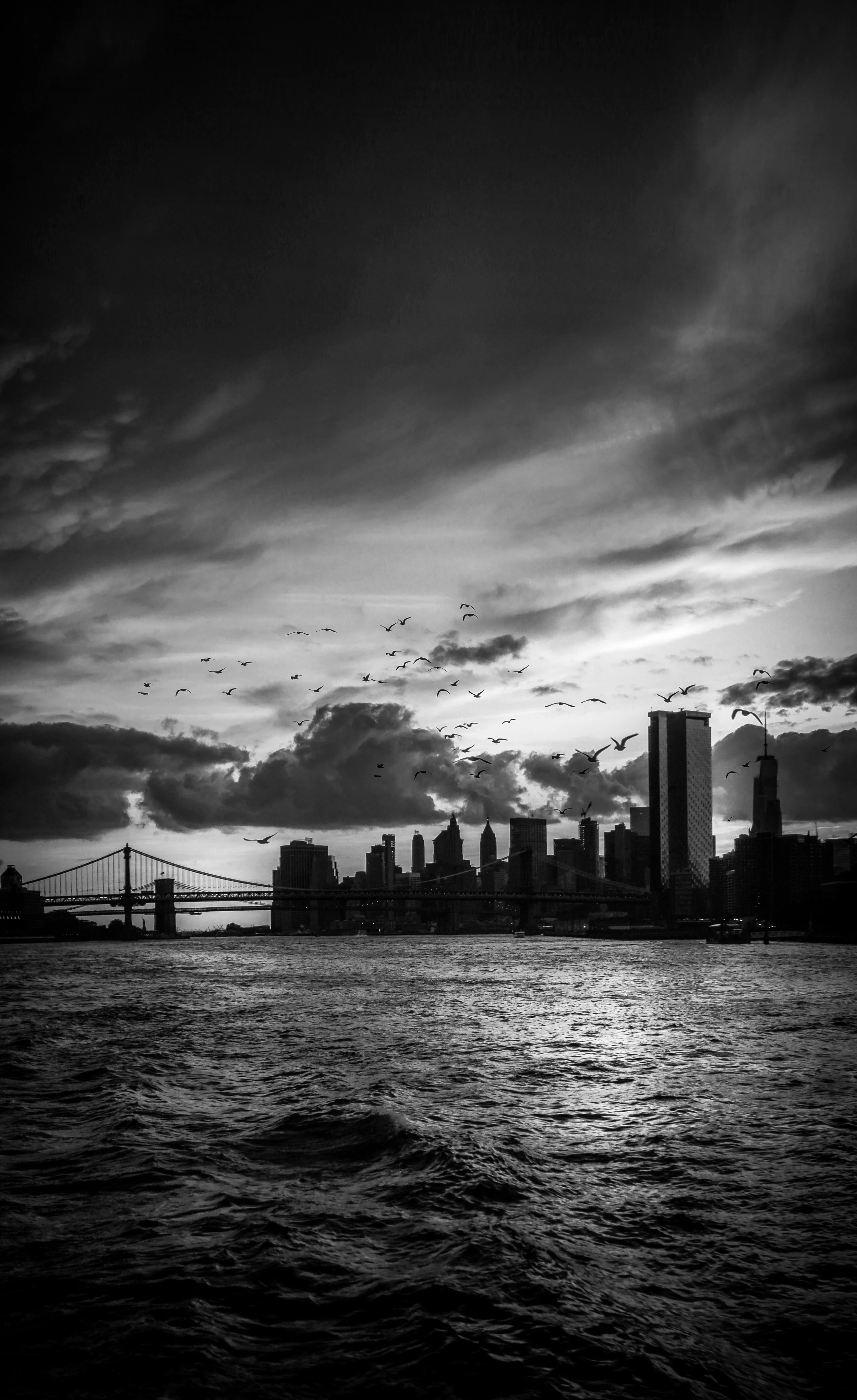 Black and white photo of a city skyline with tall buildings and a bridge, water in the foreground, and birds flying in the sky.