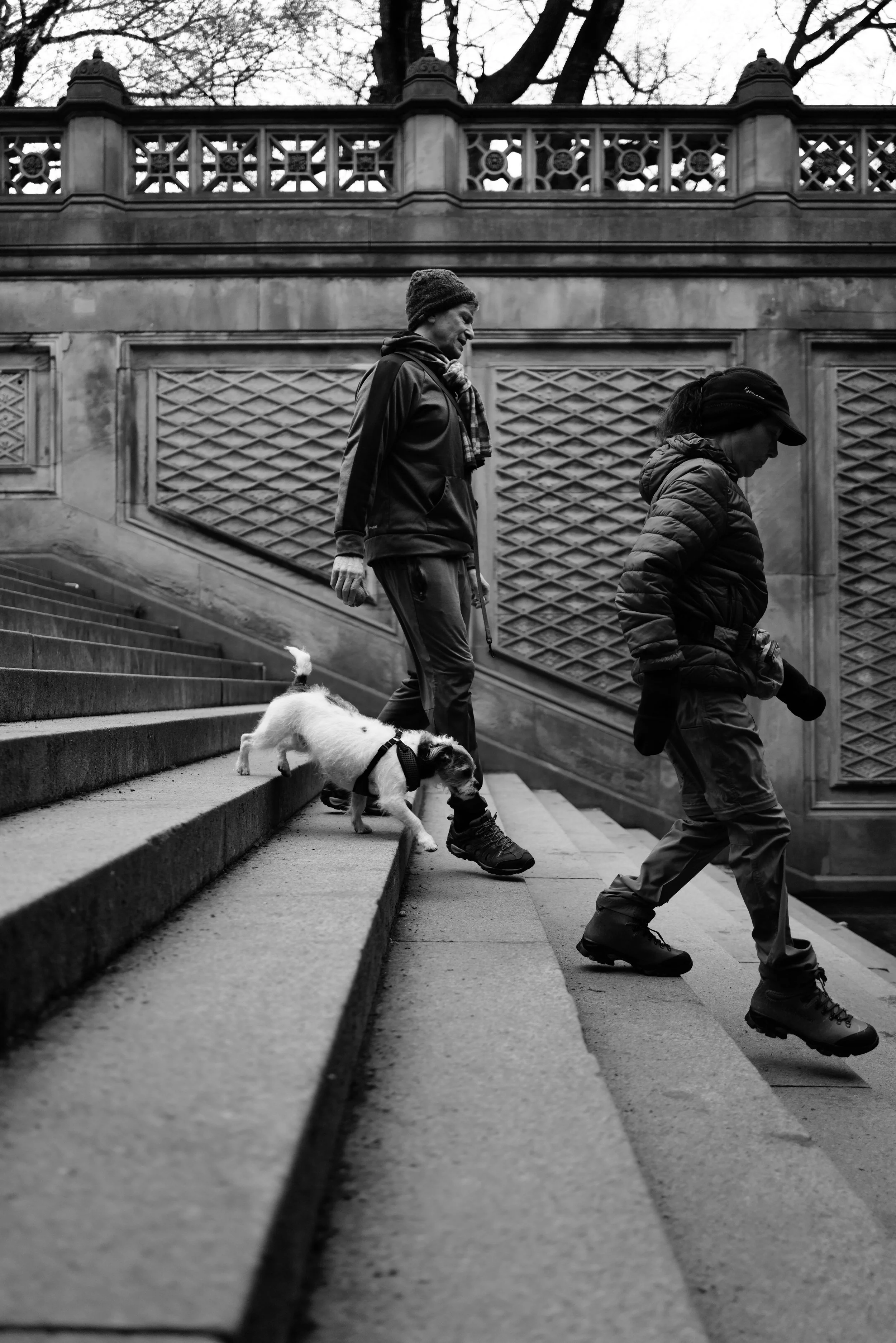 Two people walking down outdoor stone stairs with a small dog on a leash. The scene is in black and white, with a decorative stone railing and bare trees in the background.
