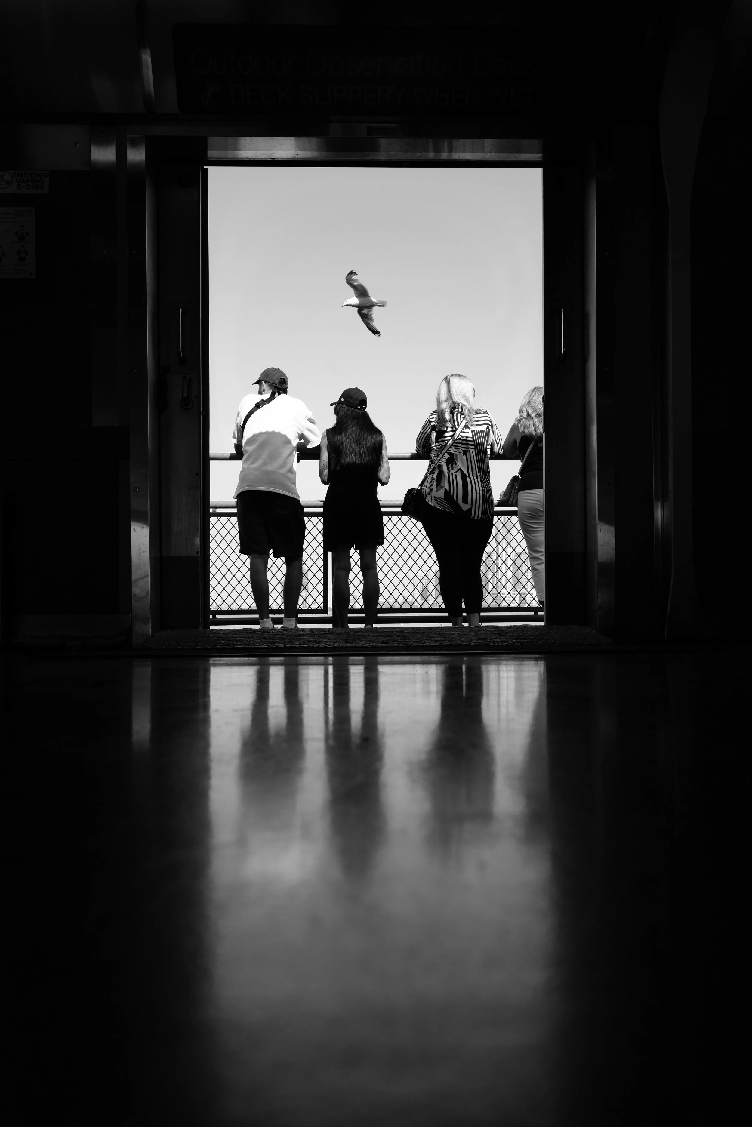 Four people standing at a railing on an outdoor observation deck, looking at a bird flying in the sky.