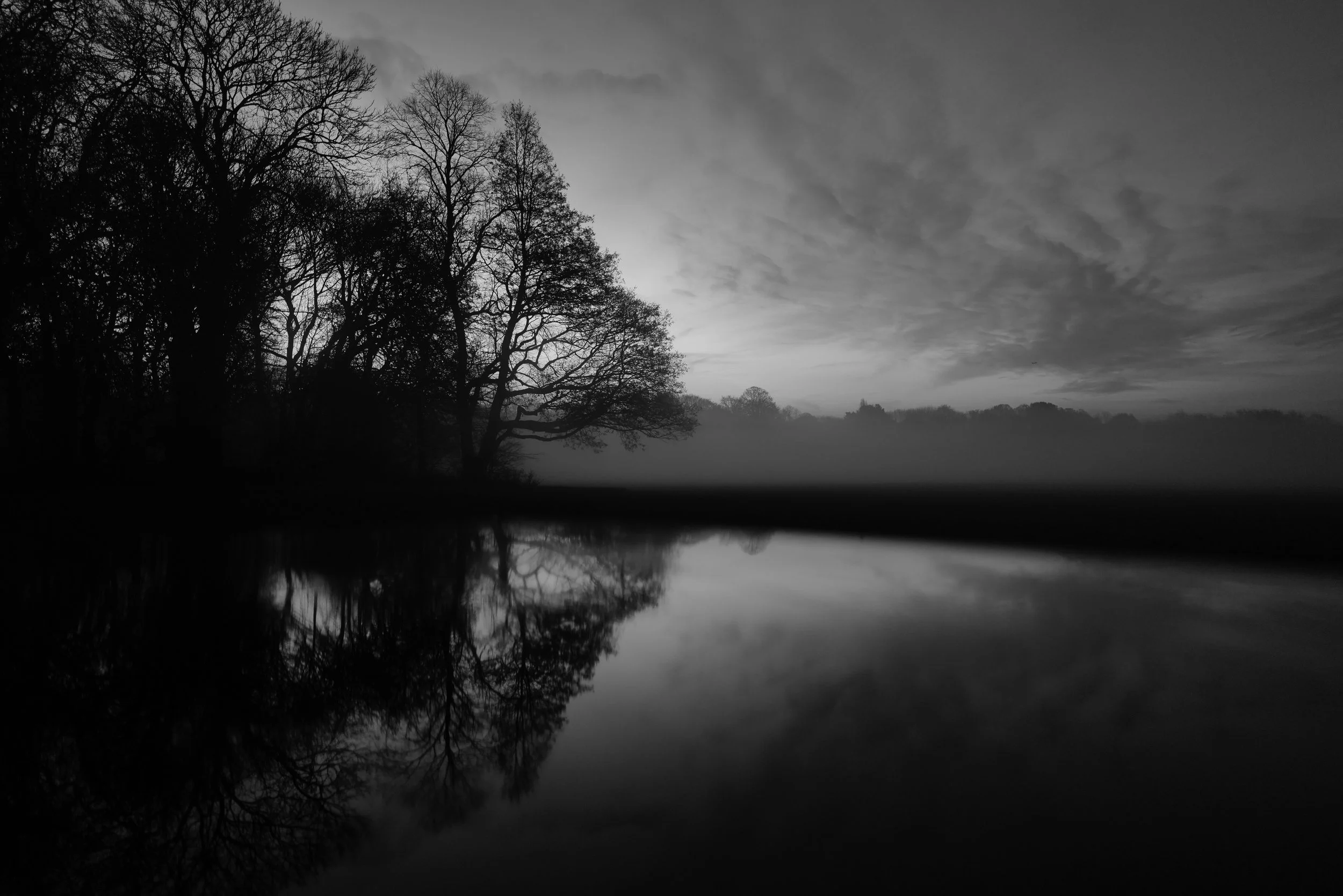Black and white landscape photograph of trees beside a calm body of water, with reflections of the trees and a cloudy sky.