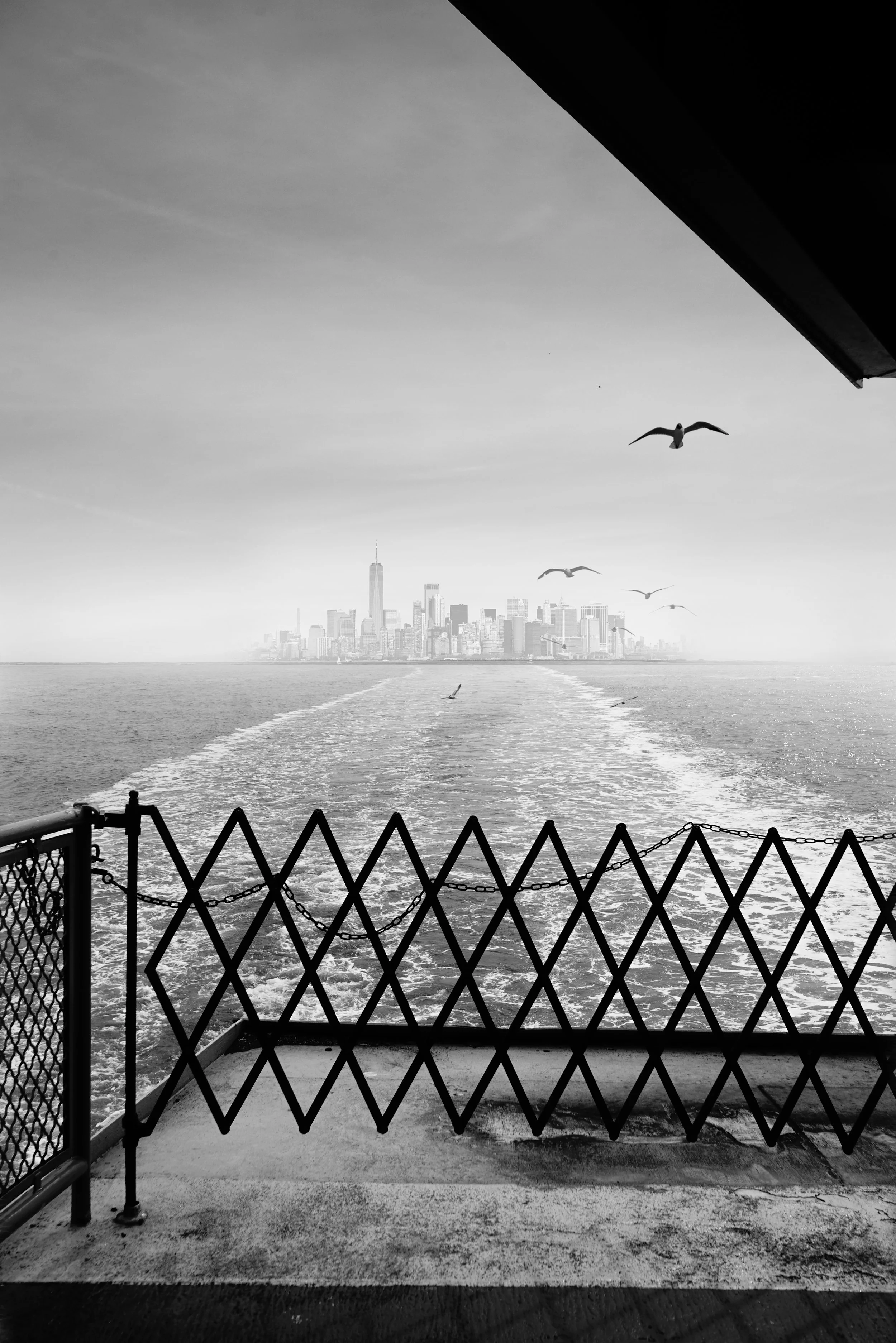 A black and white photo taken from the back of a boat, showing the city skyline of New York City in the distance, with seagulls flying overhead and the boat's wake trailing behind.