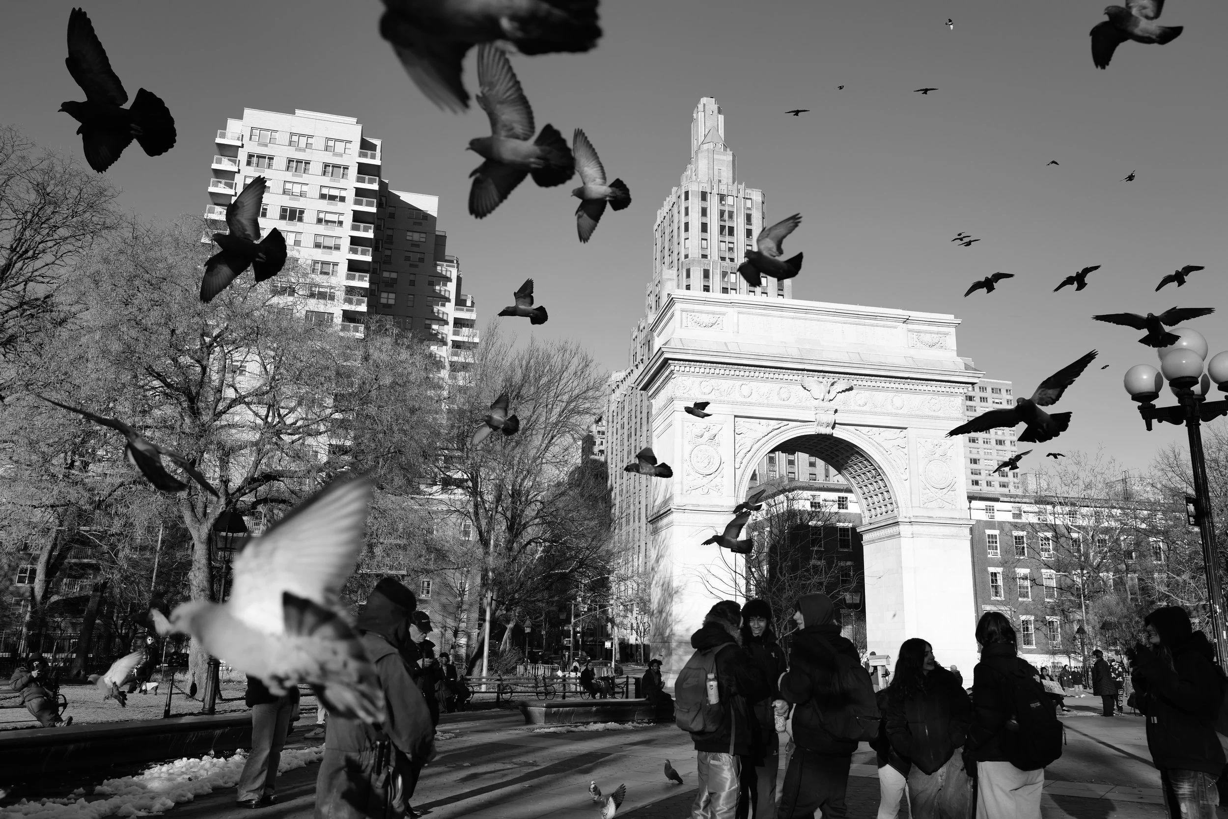 Crowds of people gathered in a park with snow on the ground, pigeons flying in the air, and an arched monument in the background amidst tall buildings on a clear day.