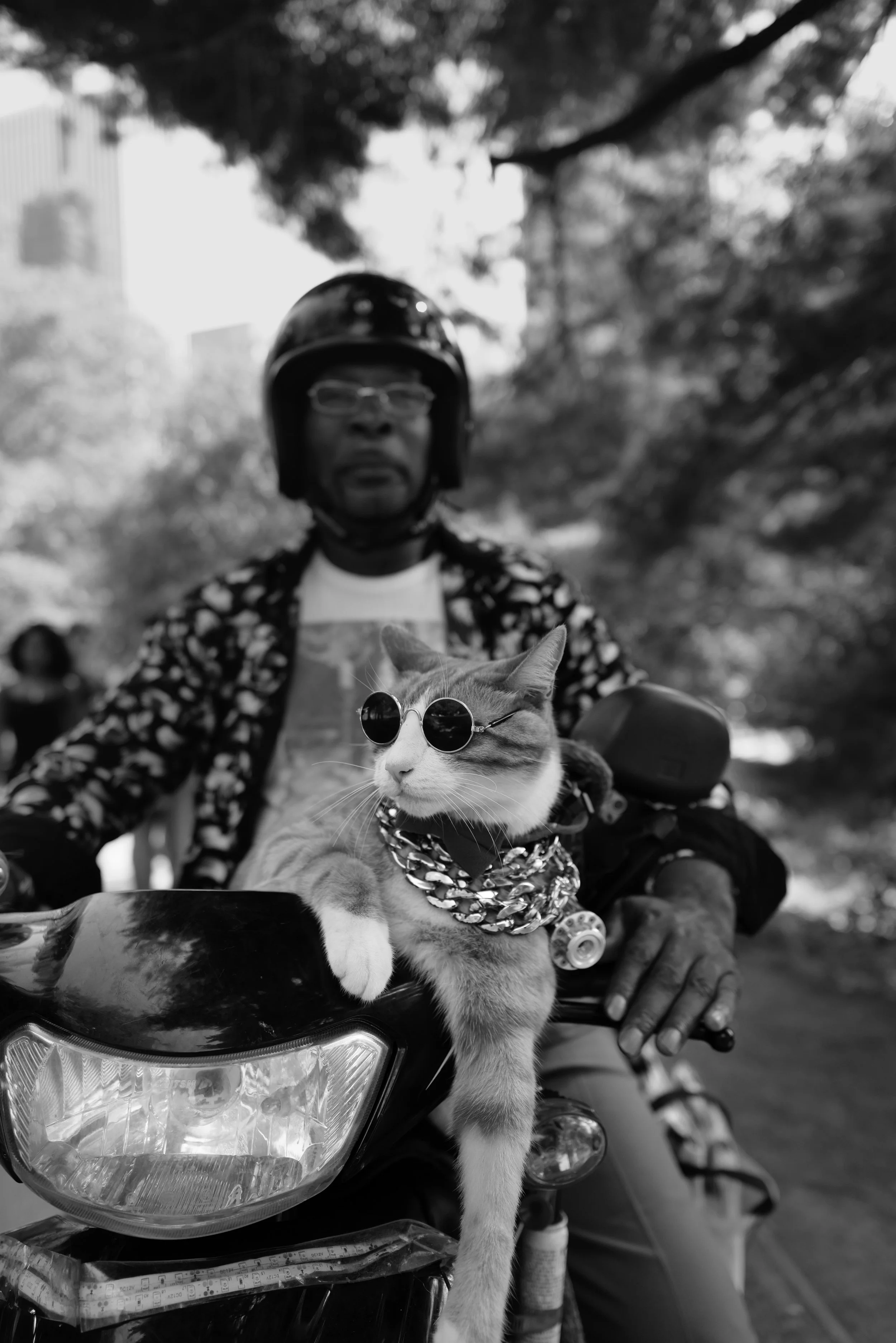 A man wearing a helmet and glasses sitting on a motorcycle, with a cat wearing sunglasses, chains, and a bandana sitting in front of him on the motorcycle's front.