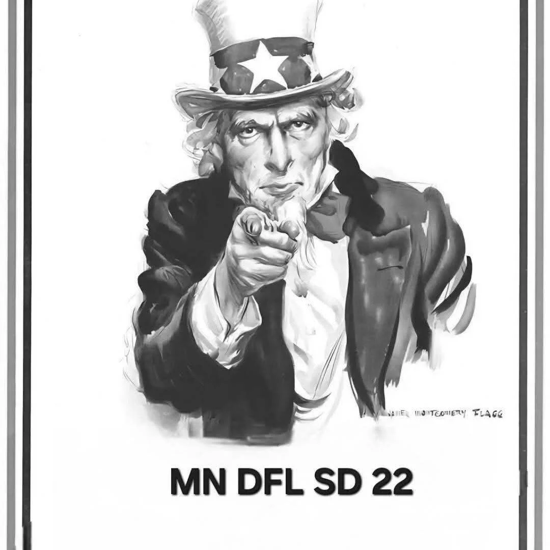 MN DFL SD22 Zoom Meeting