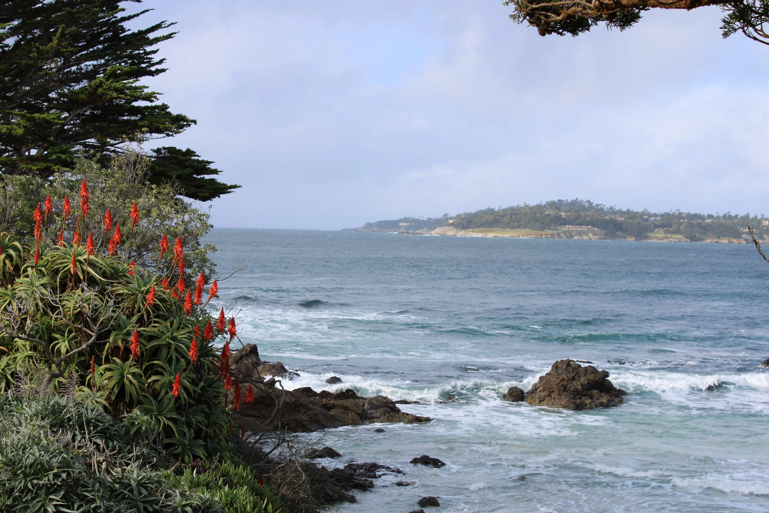 Carmel Beach