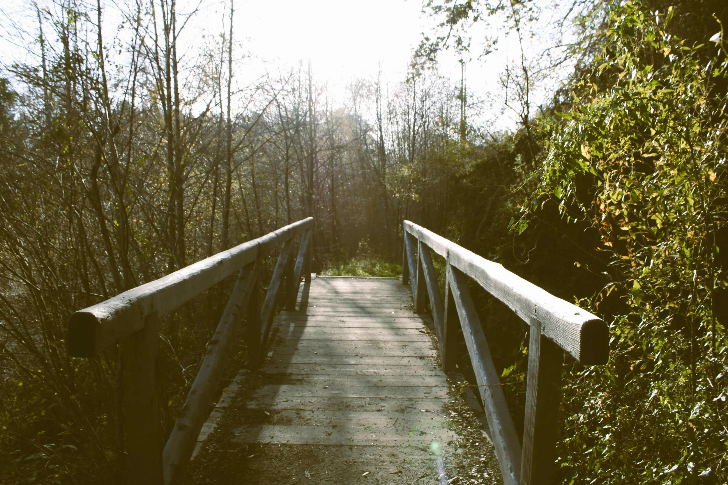 IMG_0513 vintage.JPG