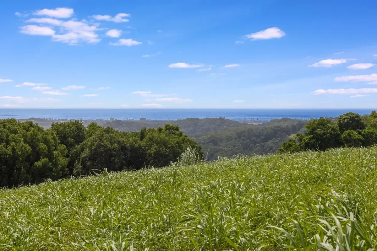 67 Scenic Drive Bilambil Heights 3.webp