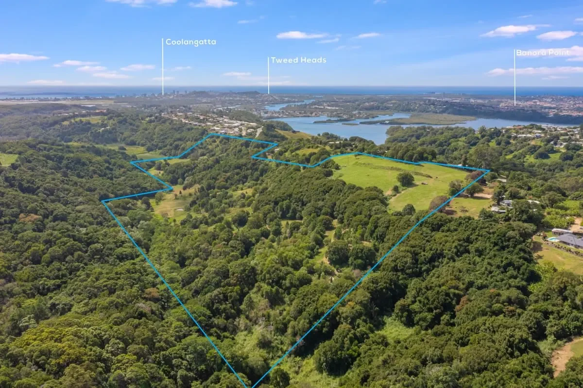 67 Scenic Drive Bilambil Heights 5.webp