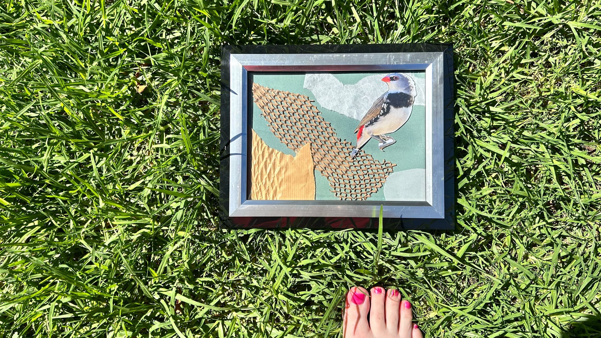 Framed collage of a bird perched on abstract shapes, placed on green grass with pink toenails visible in the foreground.