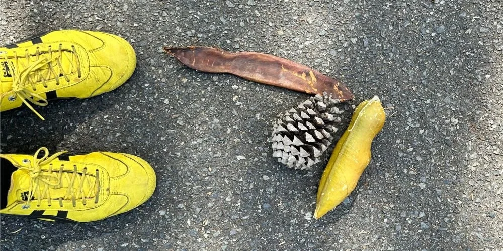 Connect Create Companion - April 2026 gathering