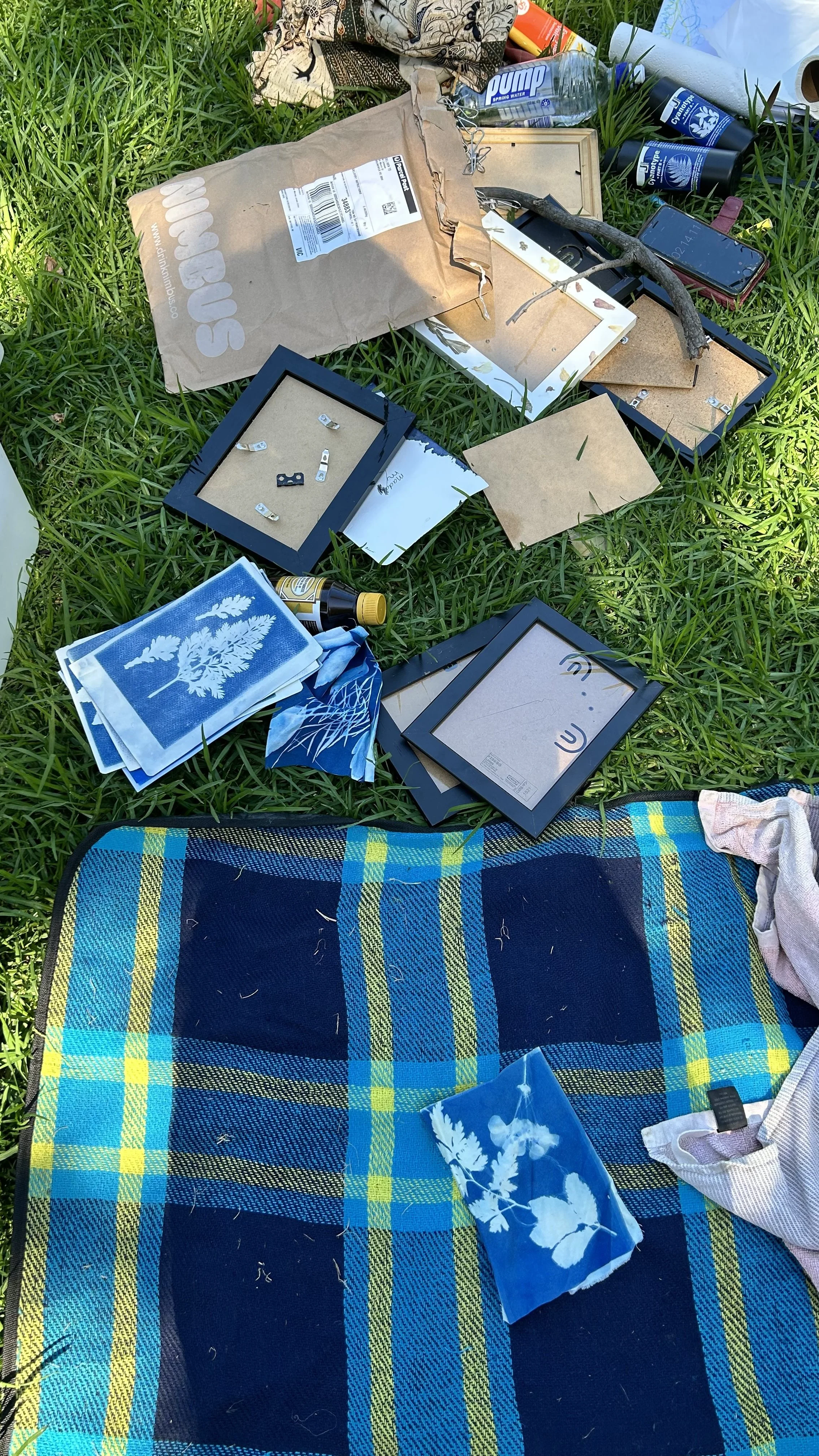 Disorganized outdoor scene with picture frames, picture backgrounds, a plaid blanket, a water bottle, a phone, a branch, and various small items scattered on grass.