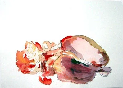 A watercolor painting of a fish lying on its side with its tail and fins visible.