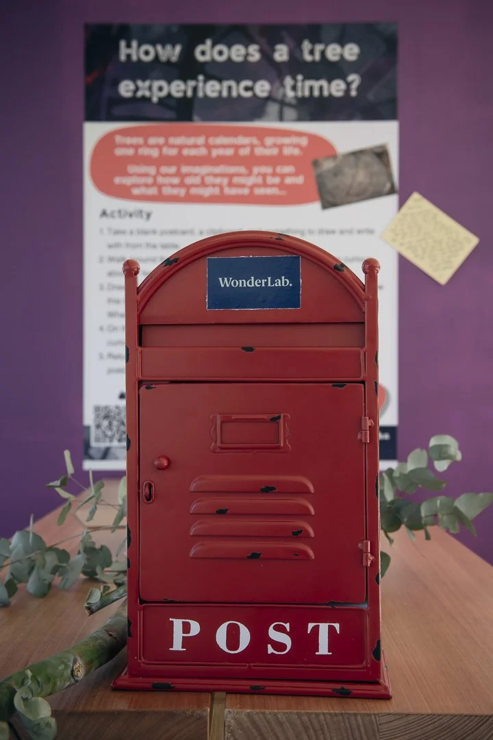 A miniature red mailbox with a 'POST' label at the bottom, placed on a wooden surface. A 'WonderLab' sticker is on it, with a blurred informational sign and some eucalyptus leaves in the background.