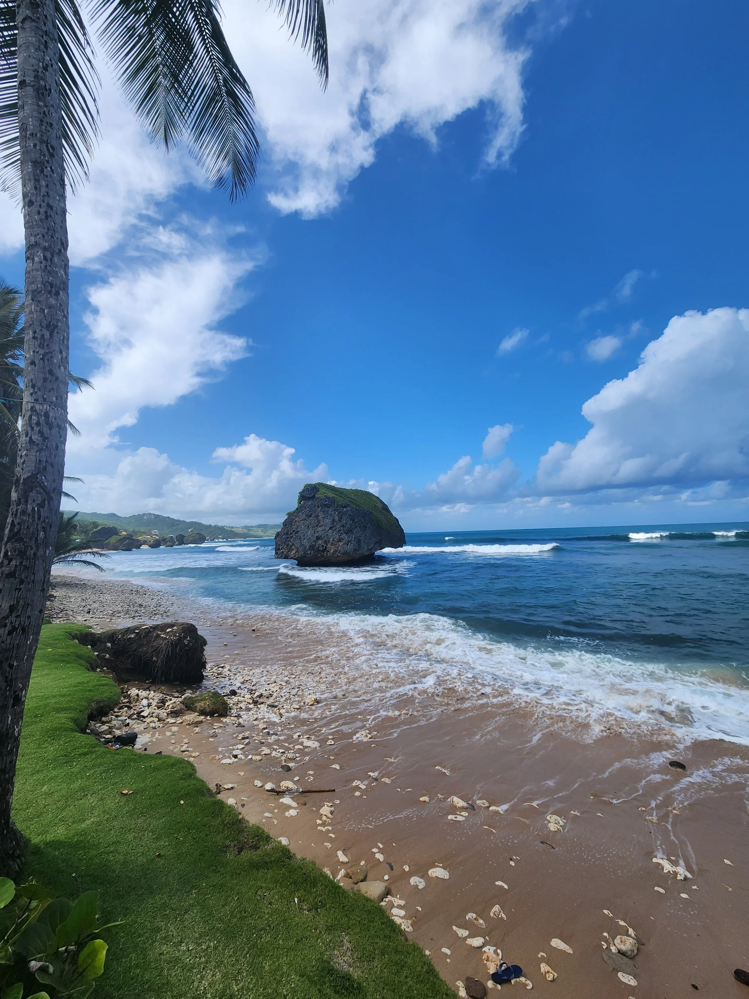 Tropical Caribbean beach with palm fronds, turquoise ocean water, and a scenic rock formation for the Sunrise Travel 2027 Princess Caribbean hosted group cruise.