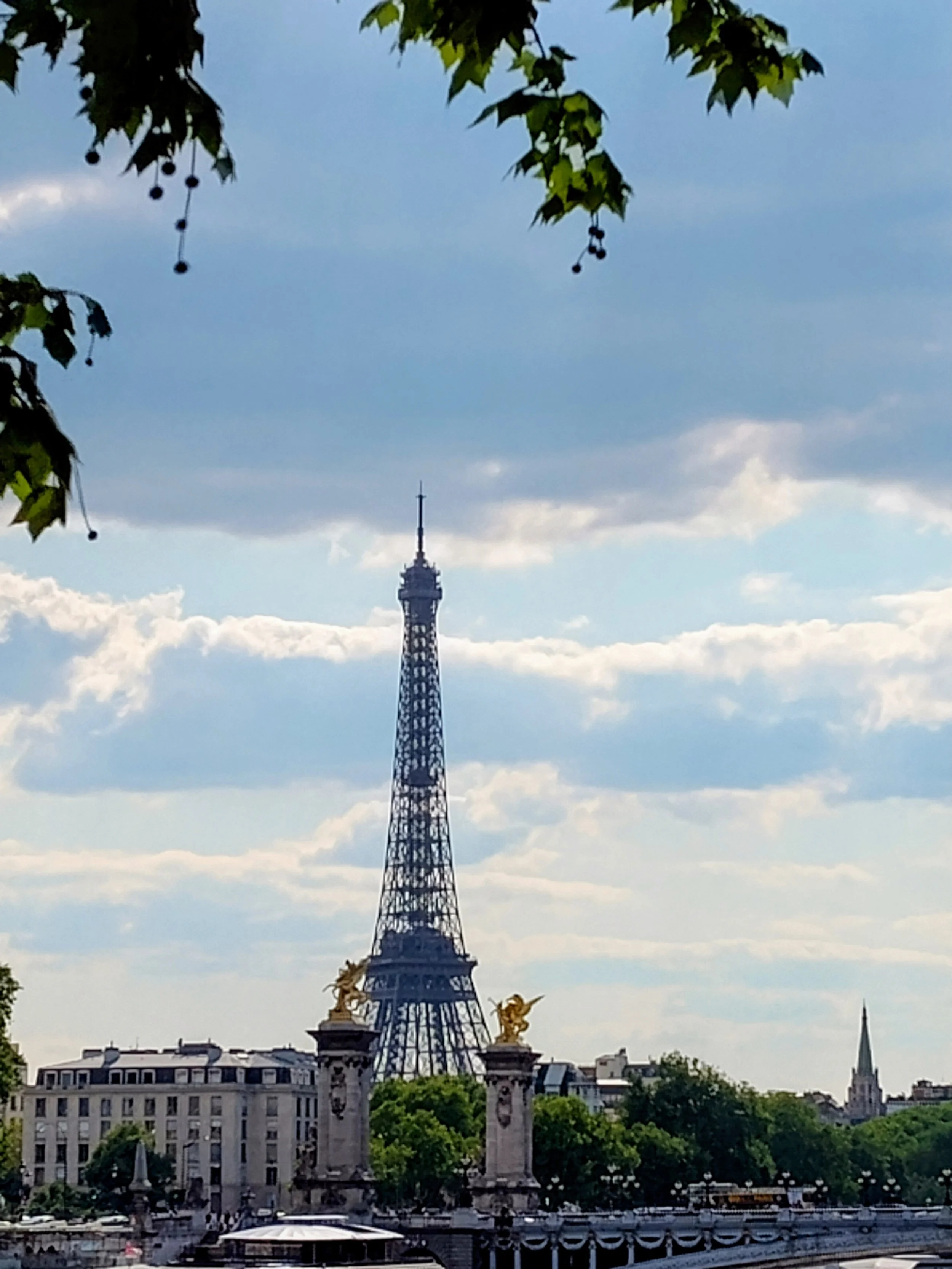 Sunrise Travel: Luxury Paris itineraries featuring a framed view of the Eiffel Tower through the golden towers of the Pont Alexandre III bridge and overhanging trees.