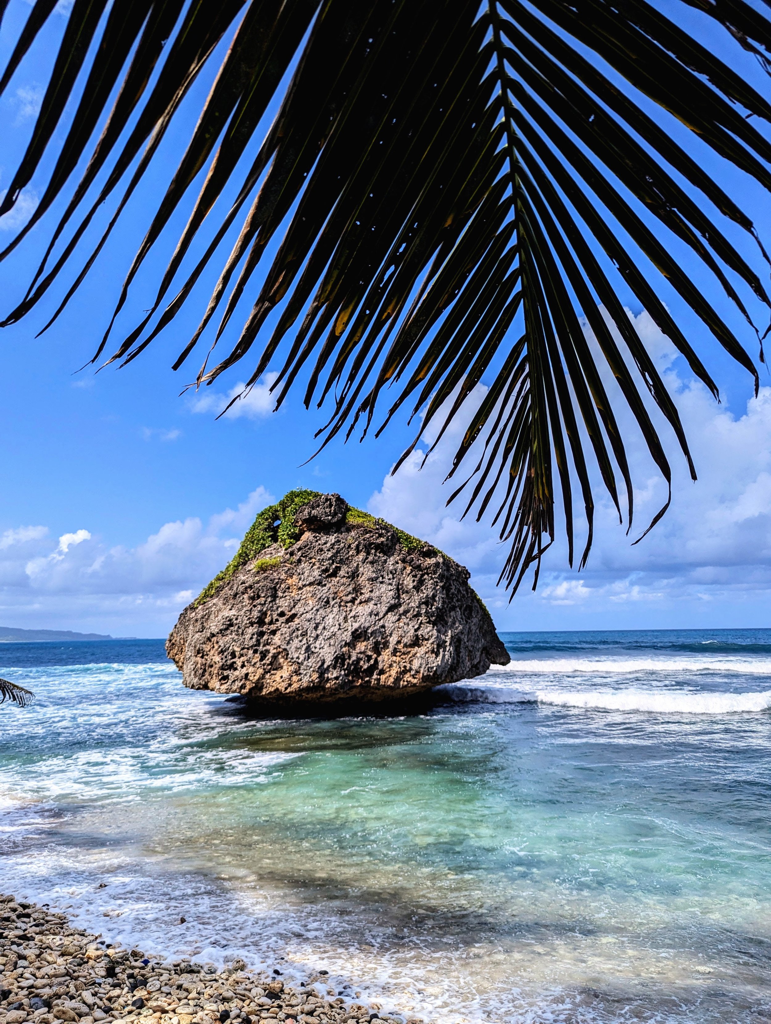 A tropical Caribbean view framed by a lush green palm frond, featuring crystal clear turquoise water and a natural rock formation under a bright blue sky with wispy clouds.