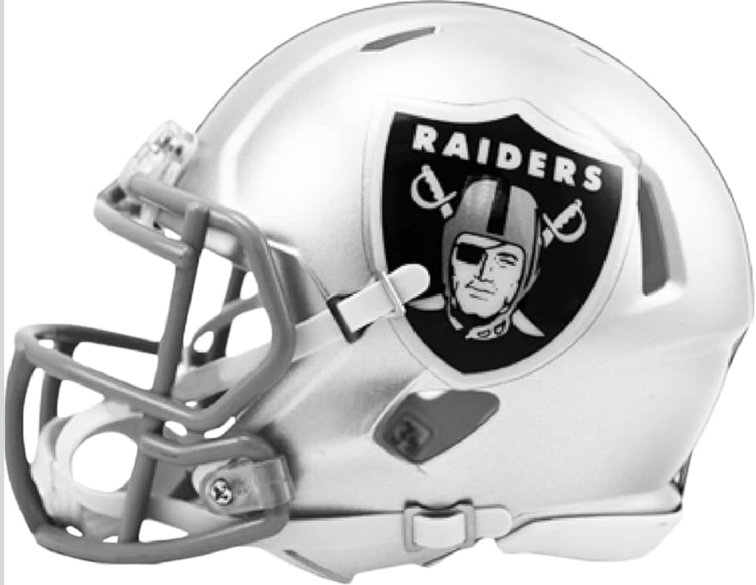 RAIDERS MINI REGULAR 2.png
