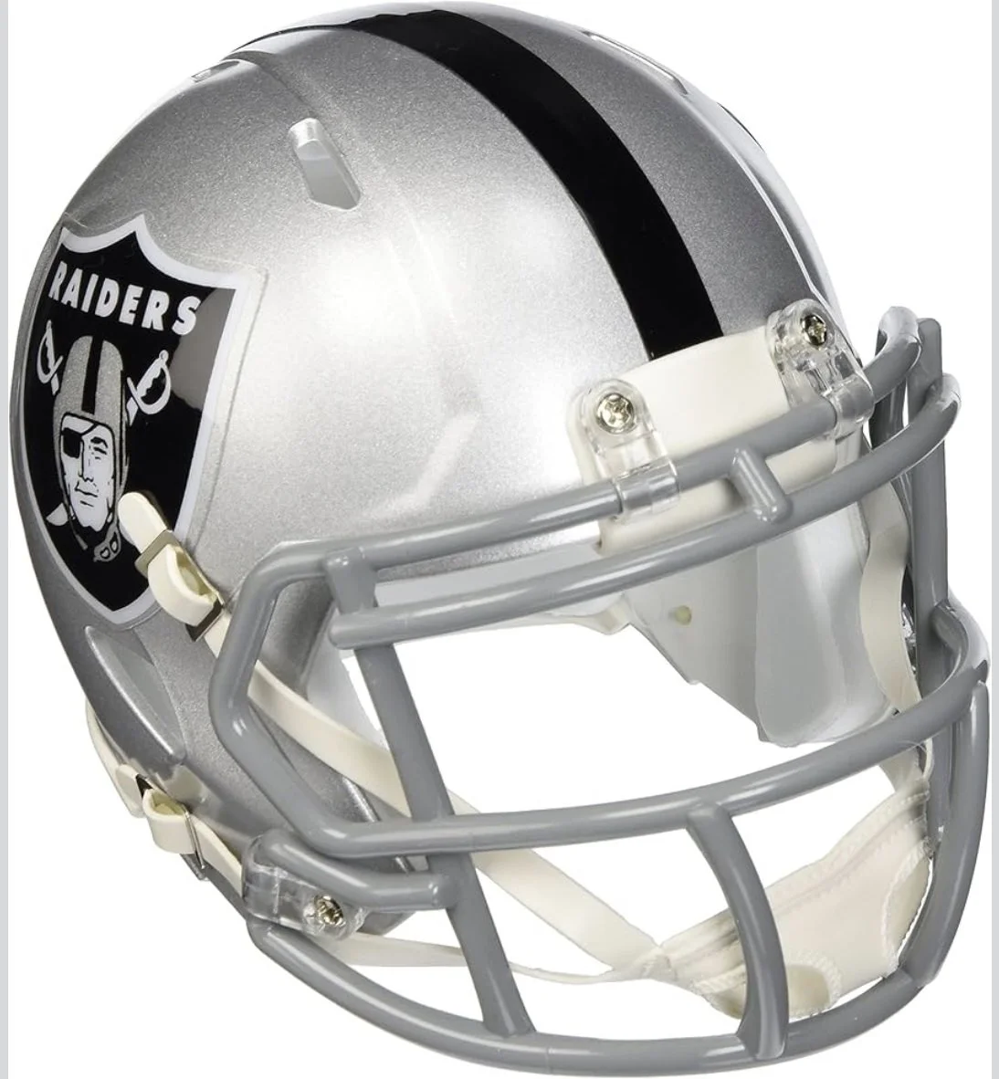 RAIDERS MINI REGULAR.jpg