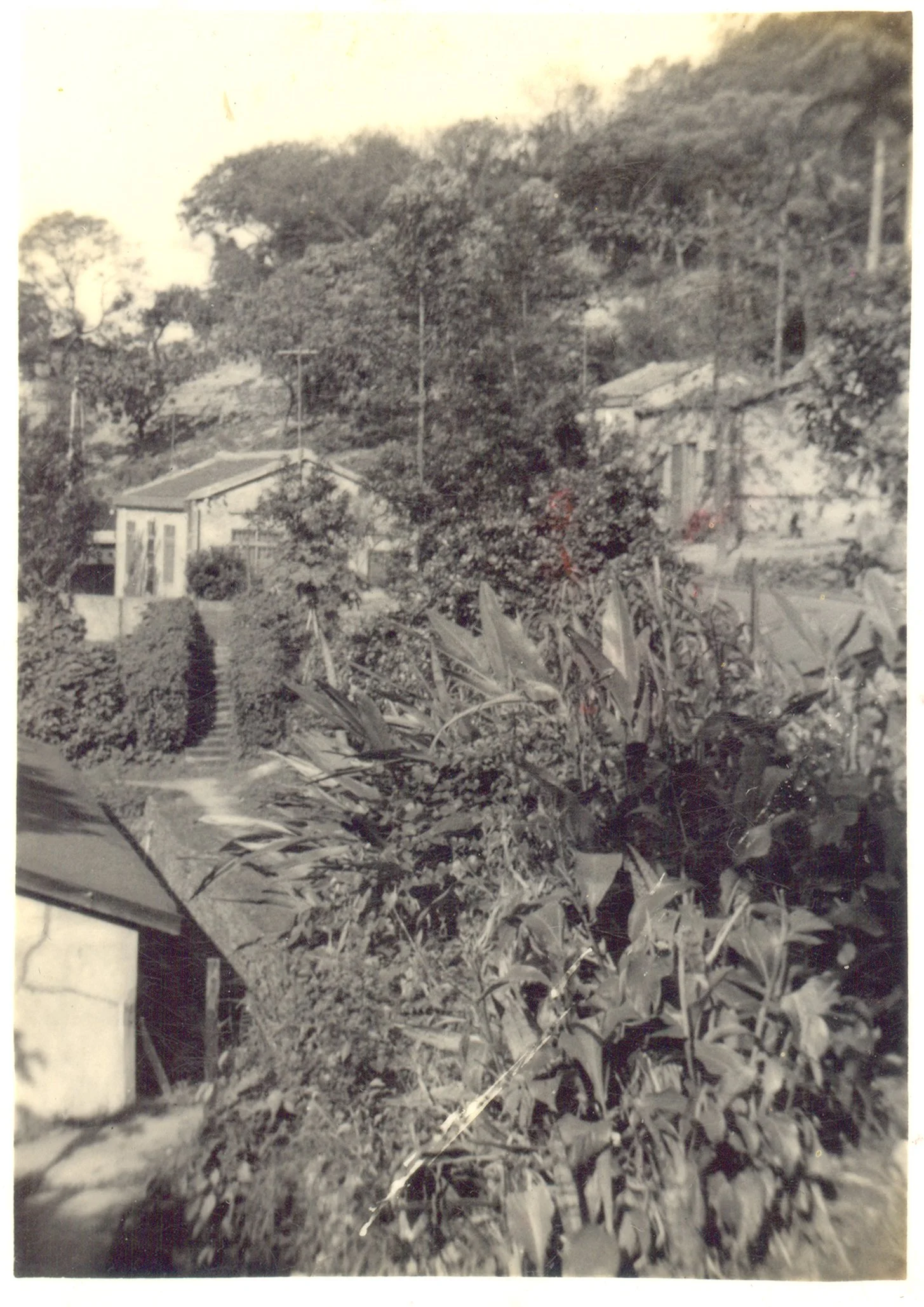 徐聖情 -1.jpg