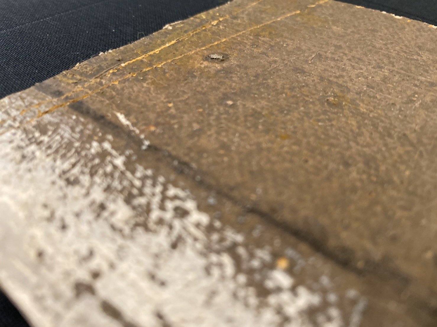 S__31719435.jpg
