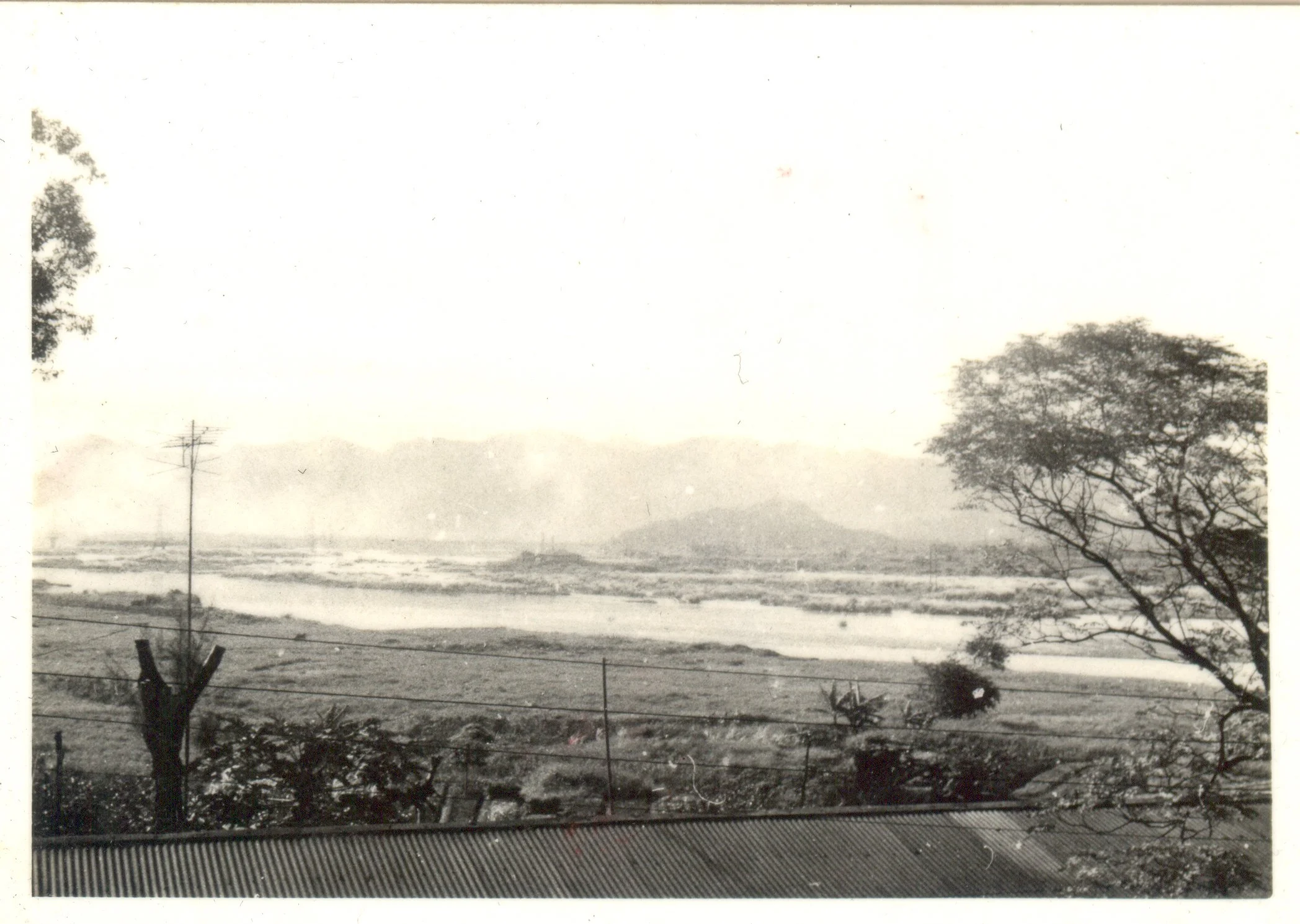 徐聖情 -4.jpg