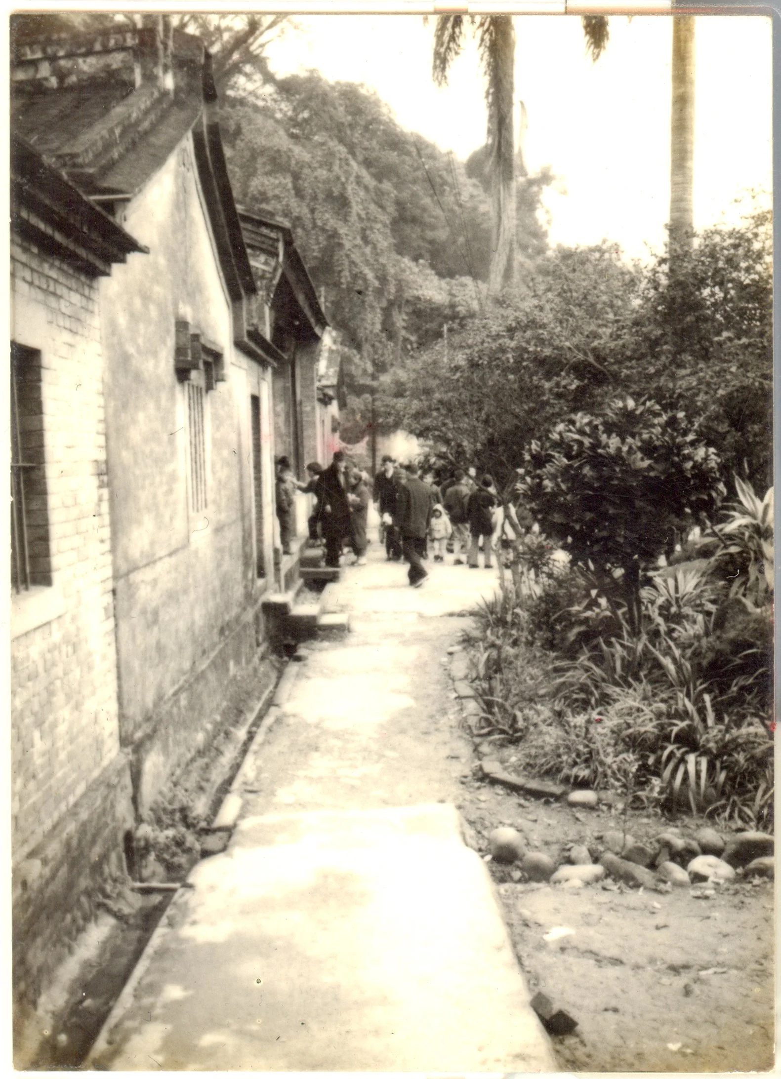 徐聖情 -2.jpg
