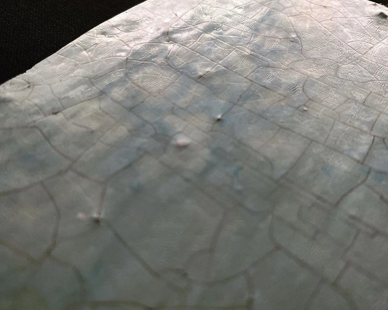 S__31719433.jpg