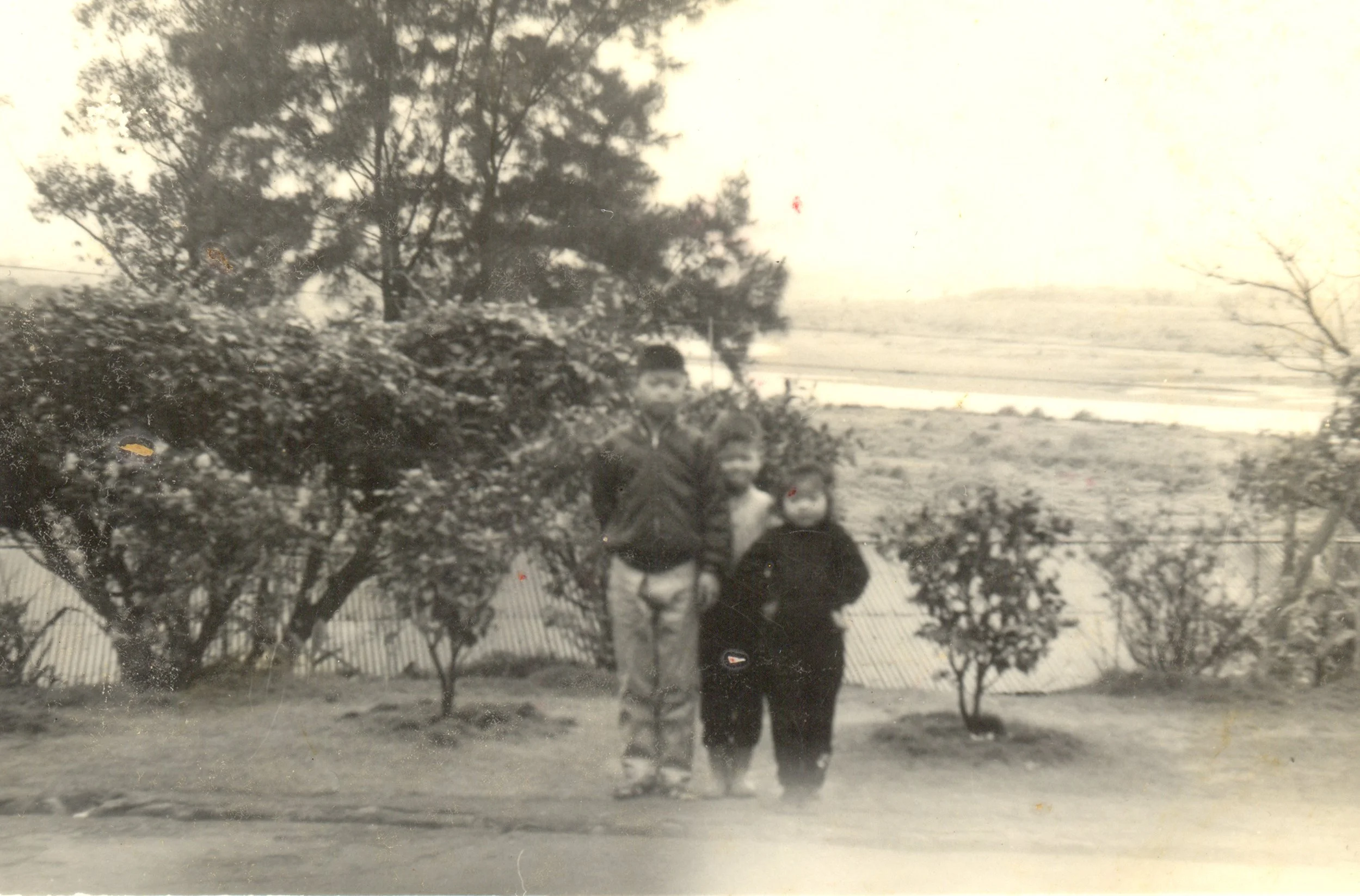 徐聖情 -6.jpg
