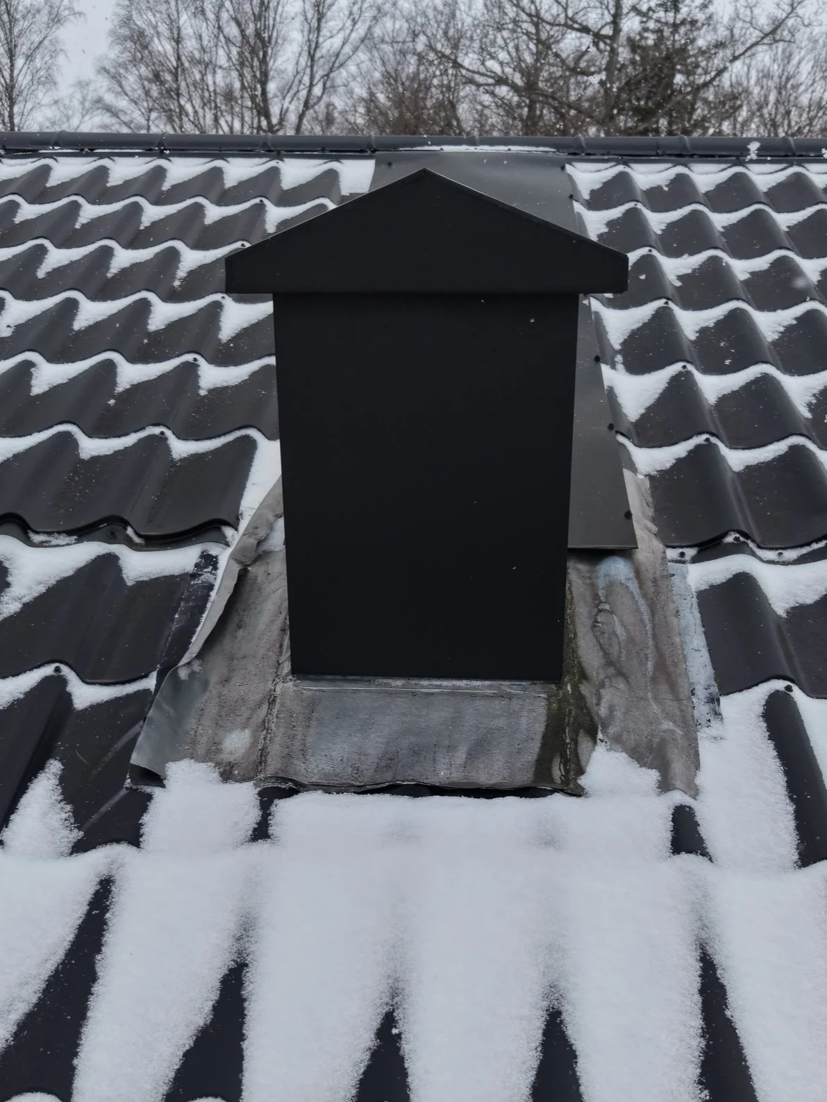 Oranssi project: roof expansion