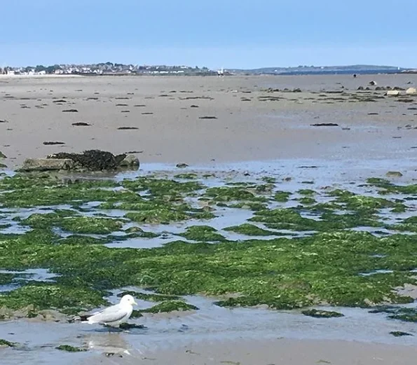 TDR Academy is closing for just a few days!