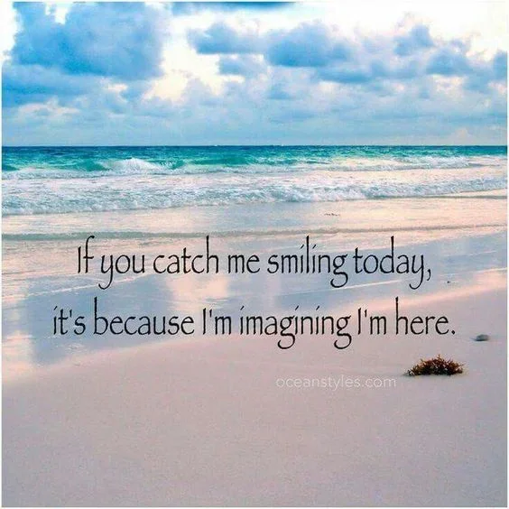 Tanya is Taking A Break - TDR Academy is still in full flow!