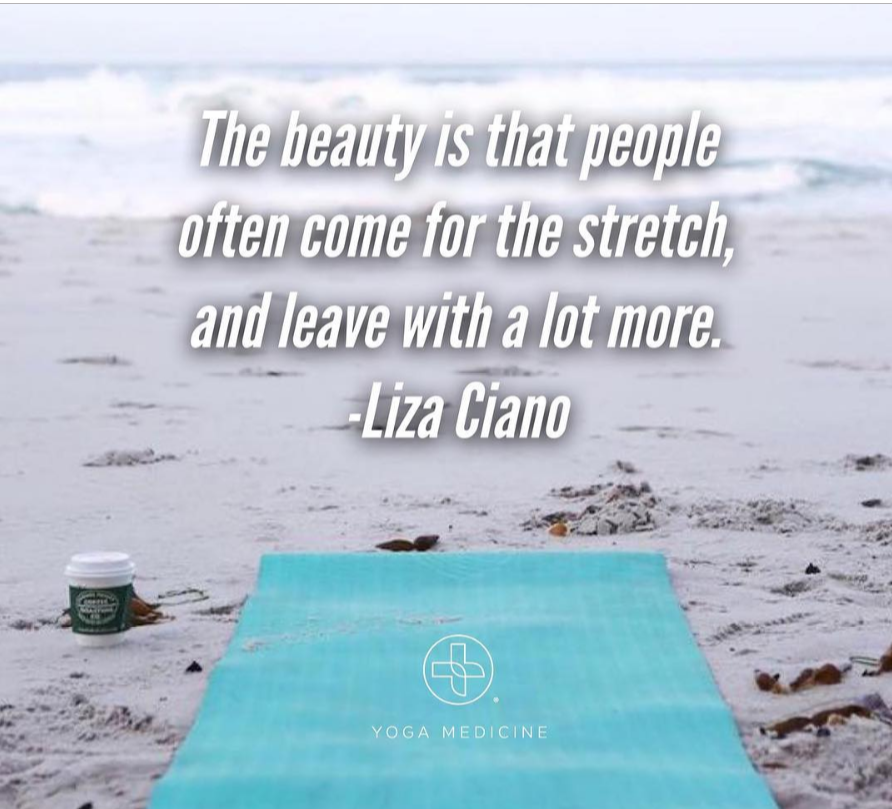 September News &amp; Updates from TDR Academy