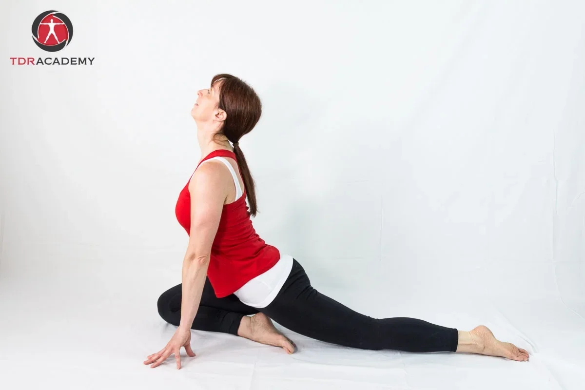 Winter Update from TDR Academy