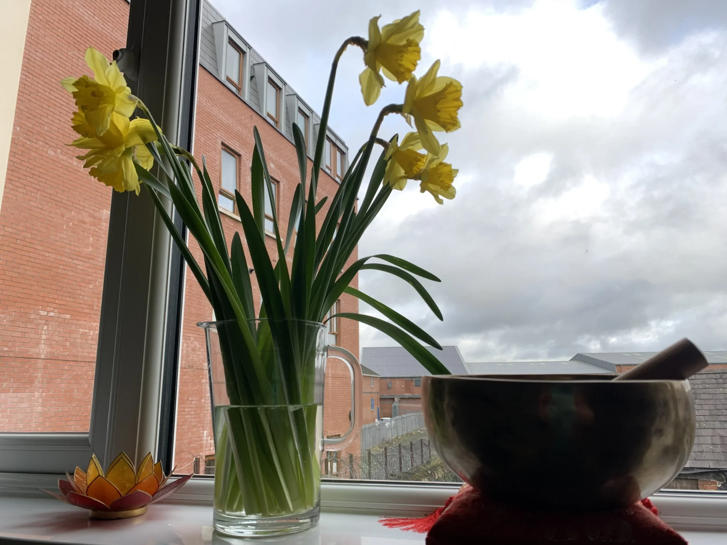 Latest Update - Service Provision Changes at TDR Academy