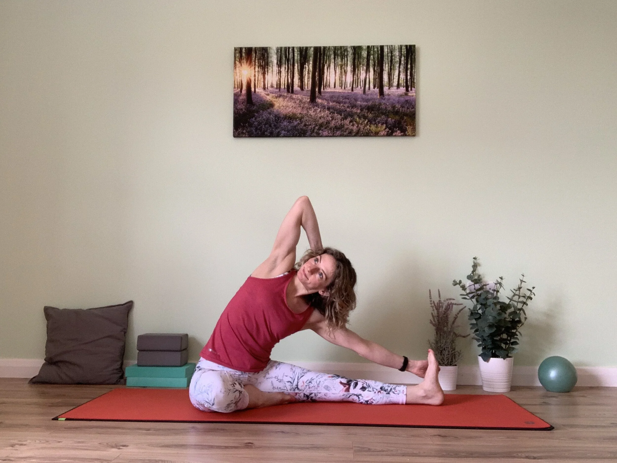 Live Online Classes and Consultations Available Now at TDR Academy!