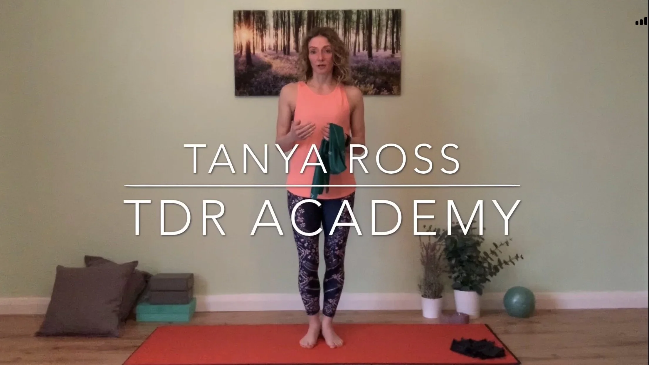 Classes at TDR - What to Expect In Studio and Online Training Tips